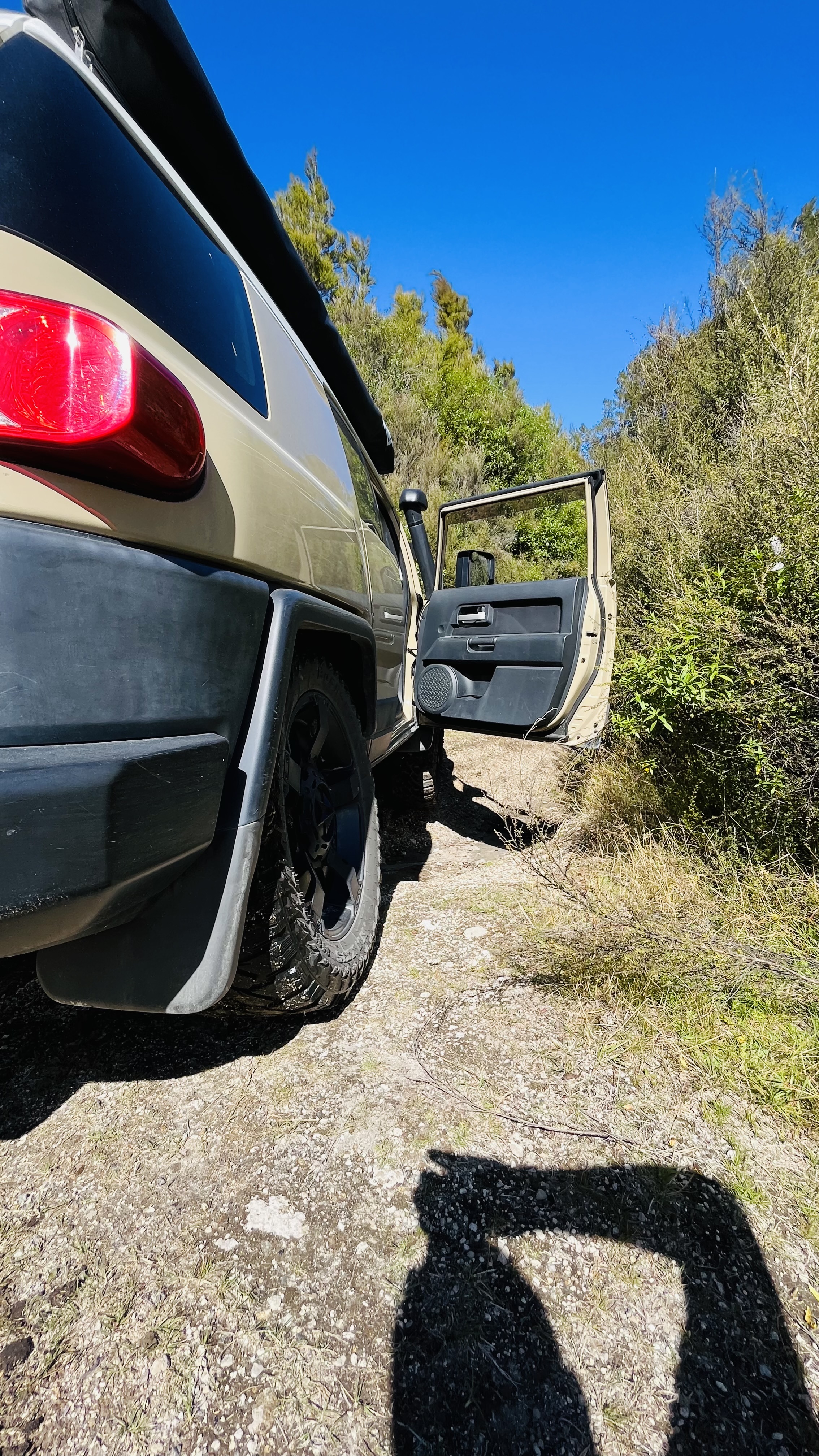 Clements Clearing Campsite image 5