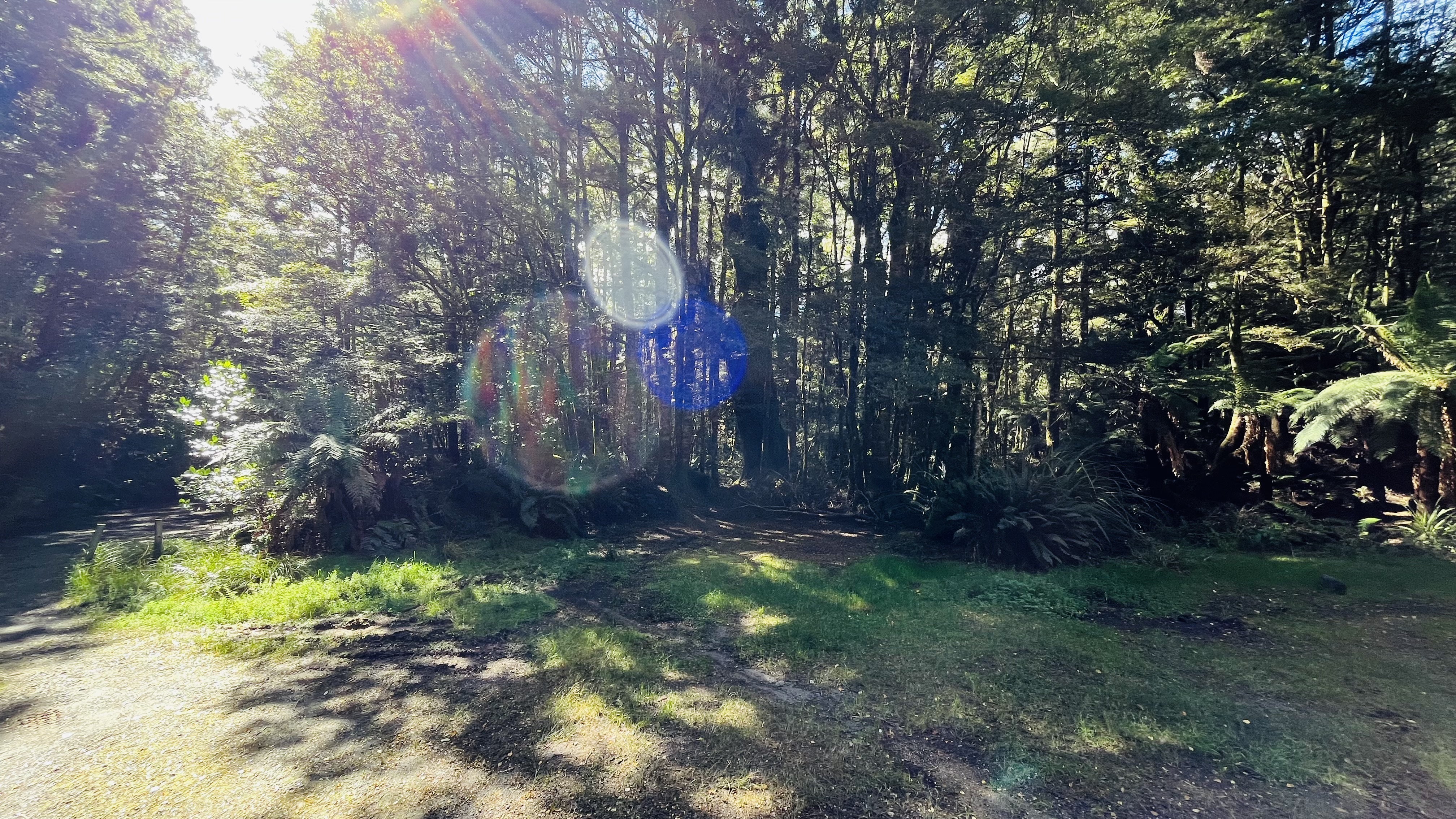 Te Iringa Campsite image 3