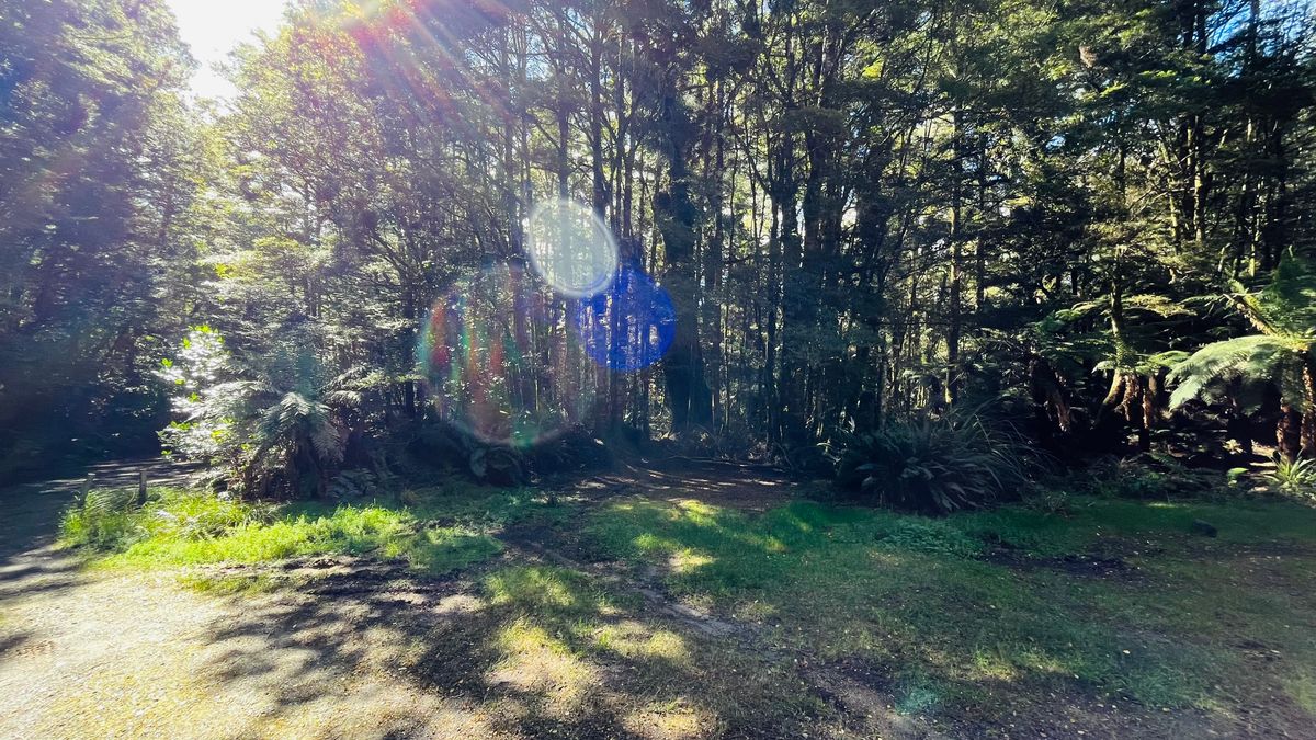 Te Iringa Campsite image 3