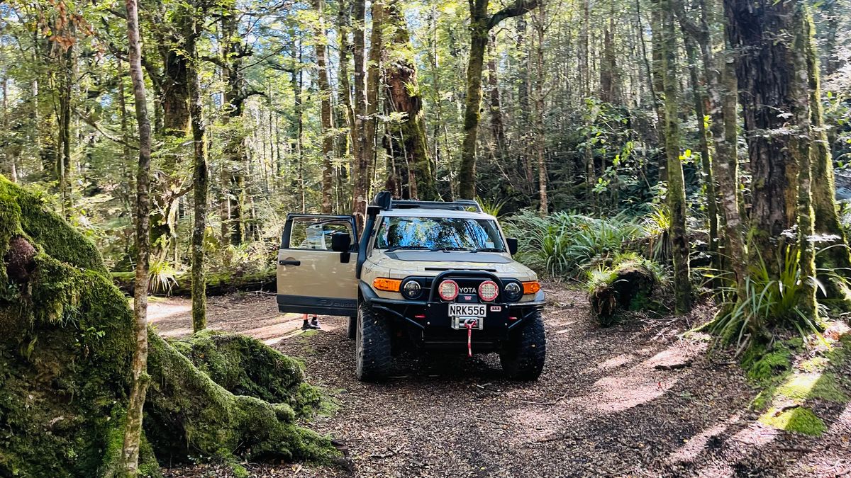 Clements Road End Campsite image 5