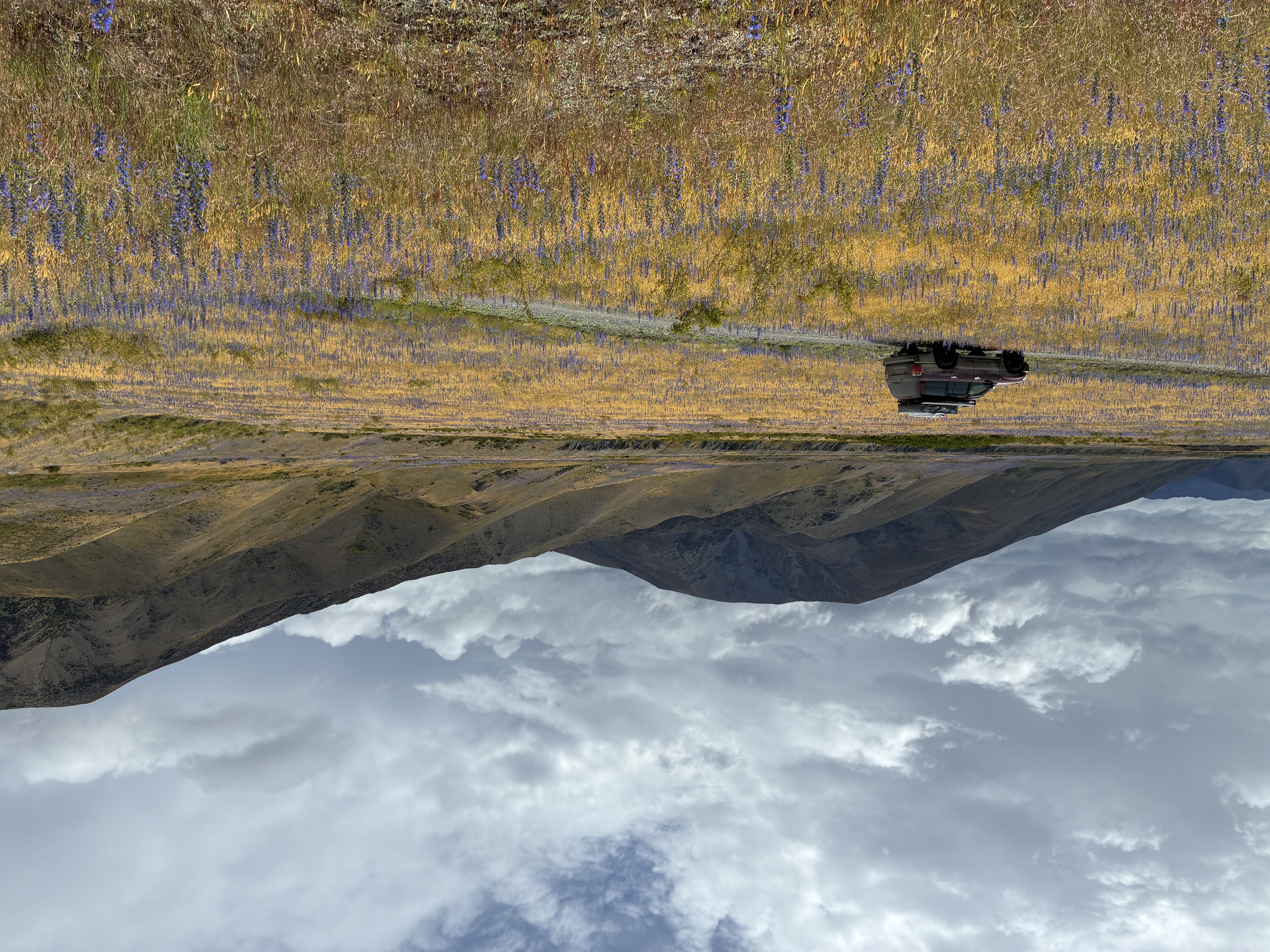 Acheron Accommodation House Campsite image 1