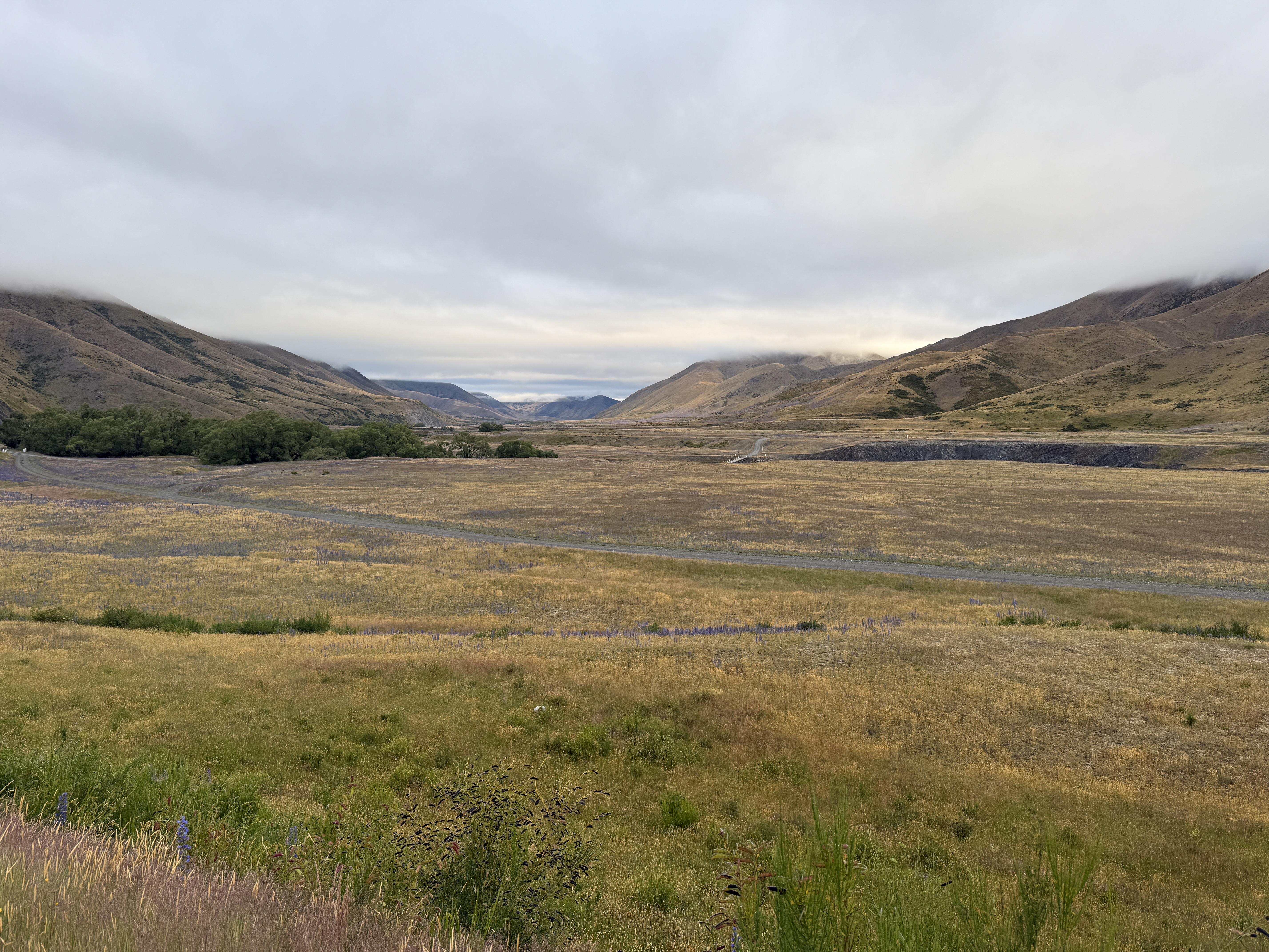 Acheron Accommodation House Campsite image 3