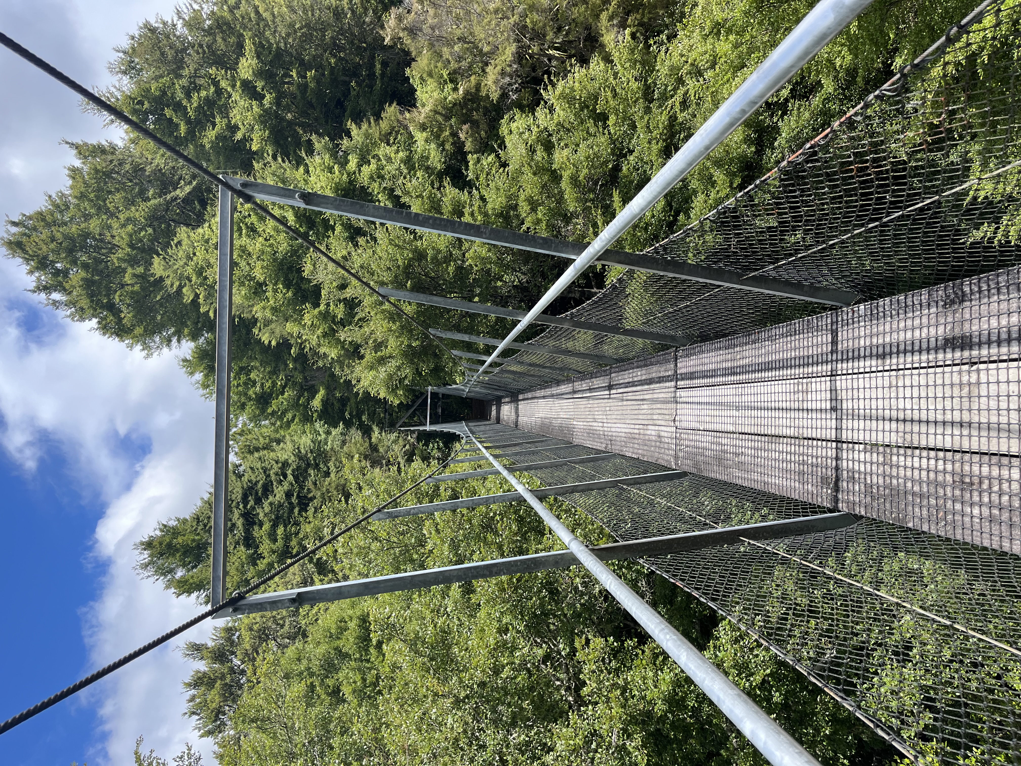 Urchin Lookout image 1