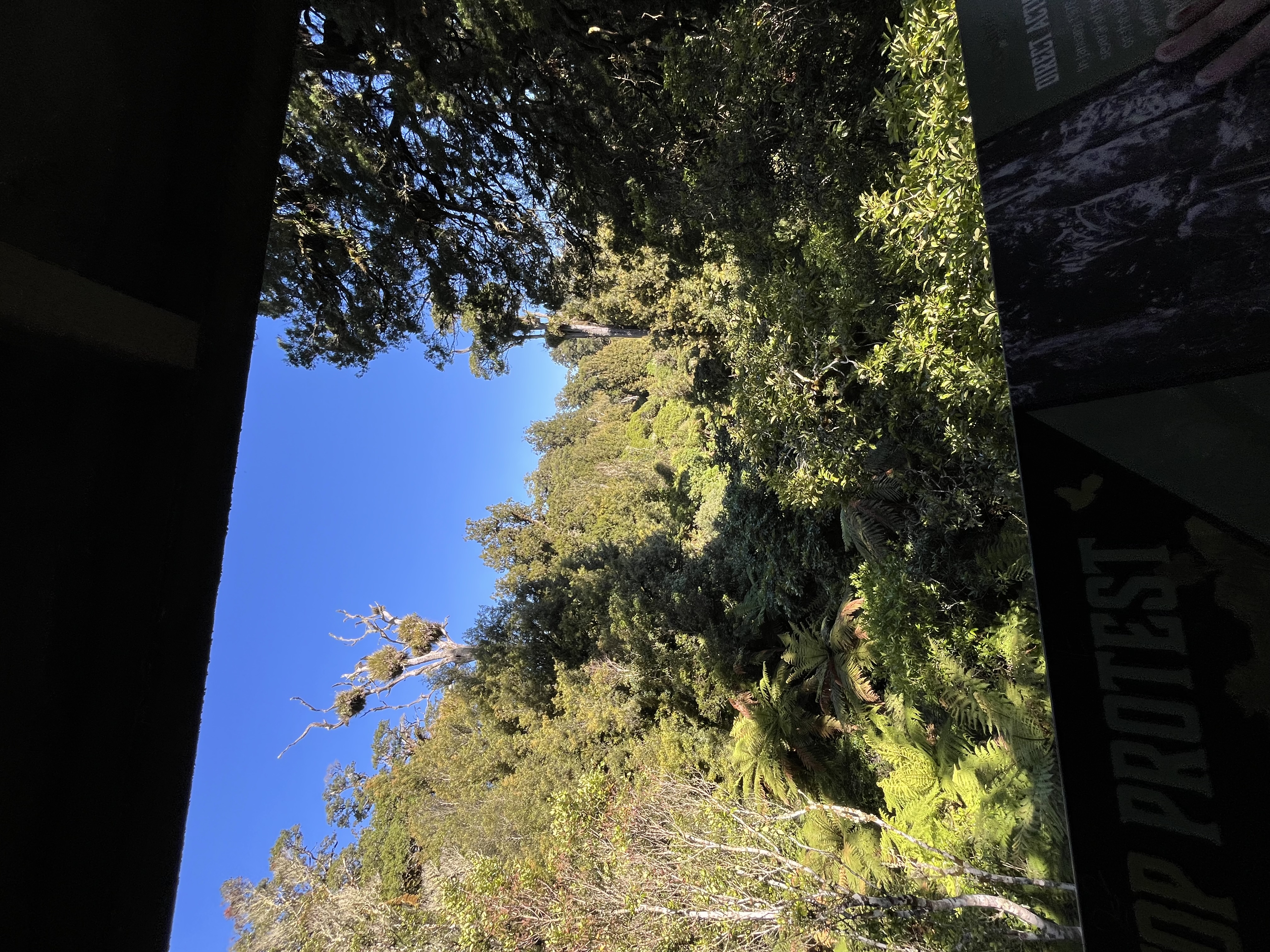 Fire Lookout image 4