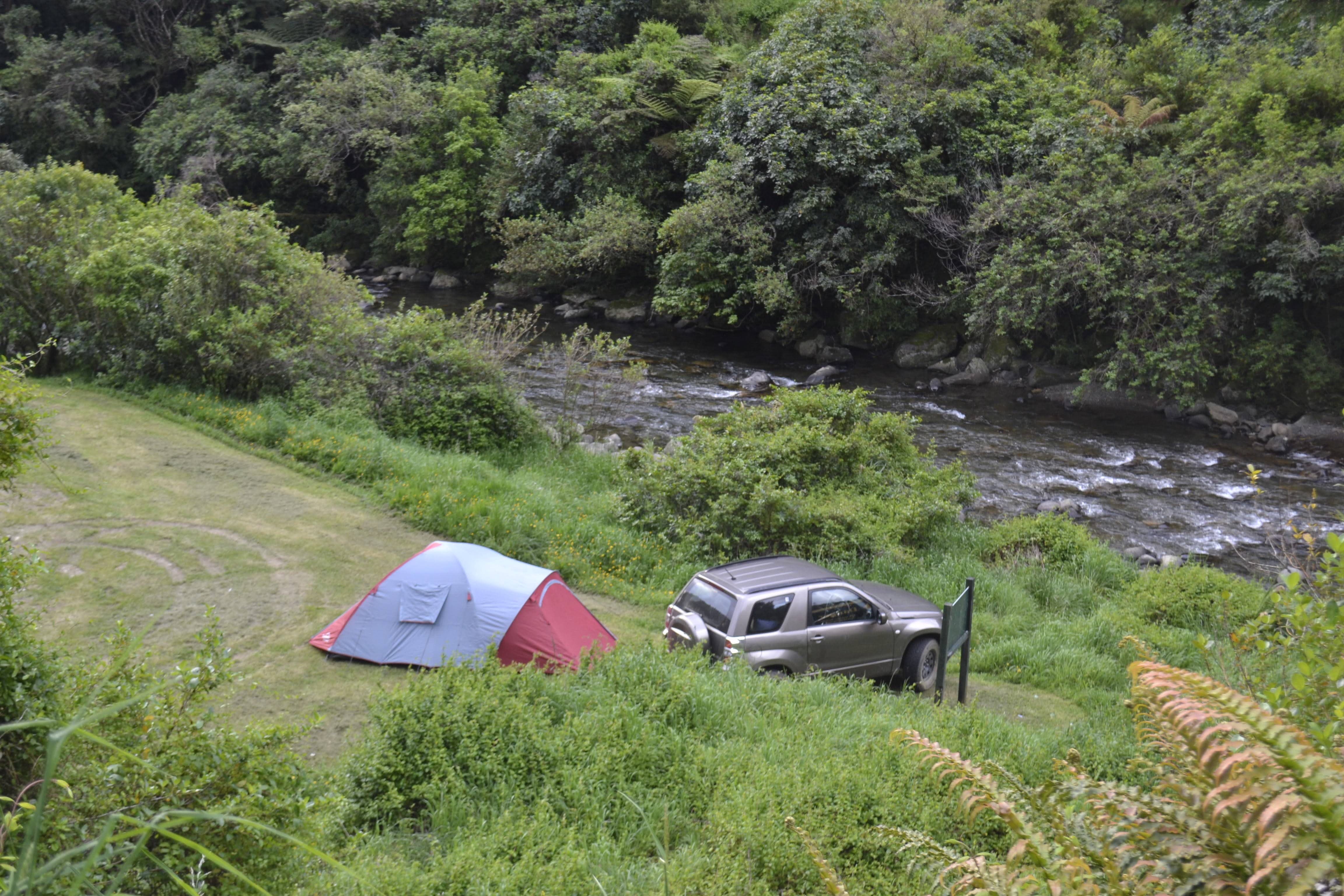 Manganuku Campsite image 1