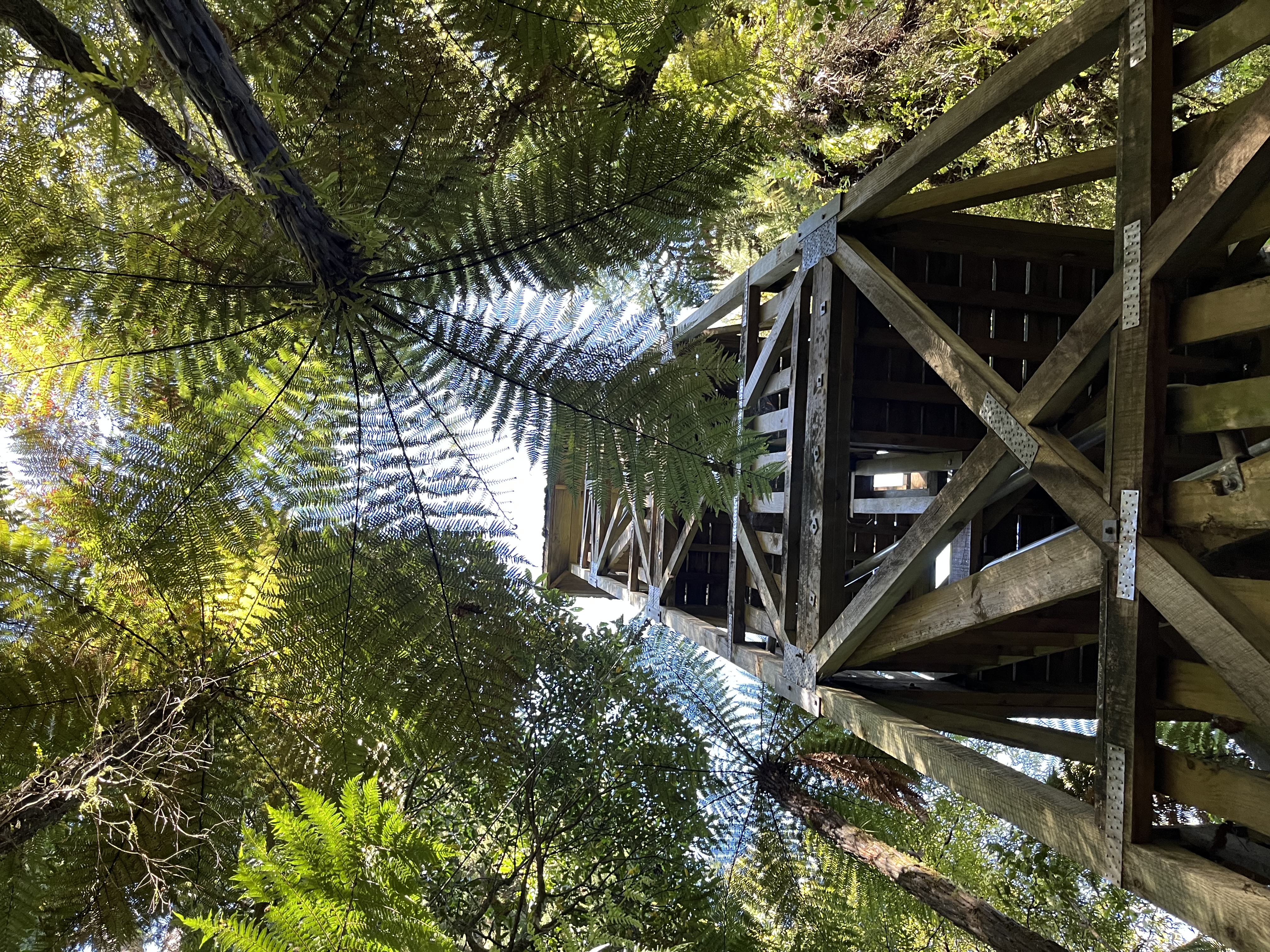 Fire Lookout image 3