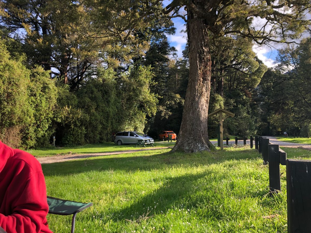 Lake Rotoroa Campsite image 2