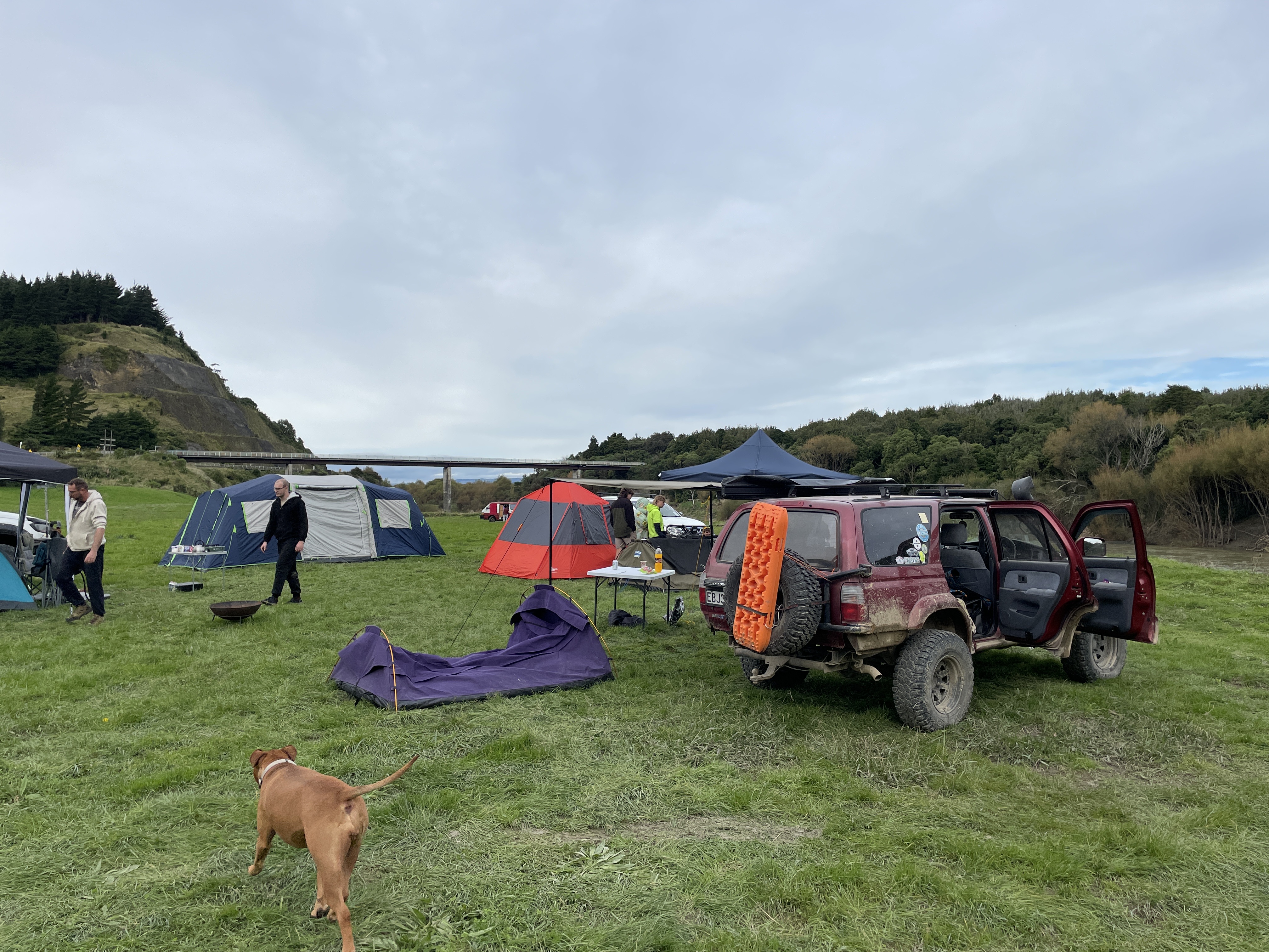 Woodville Ferry Reserve image 8