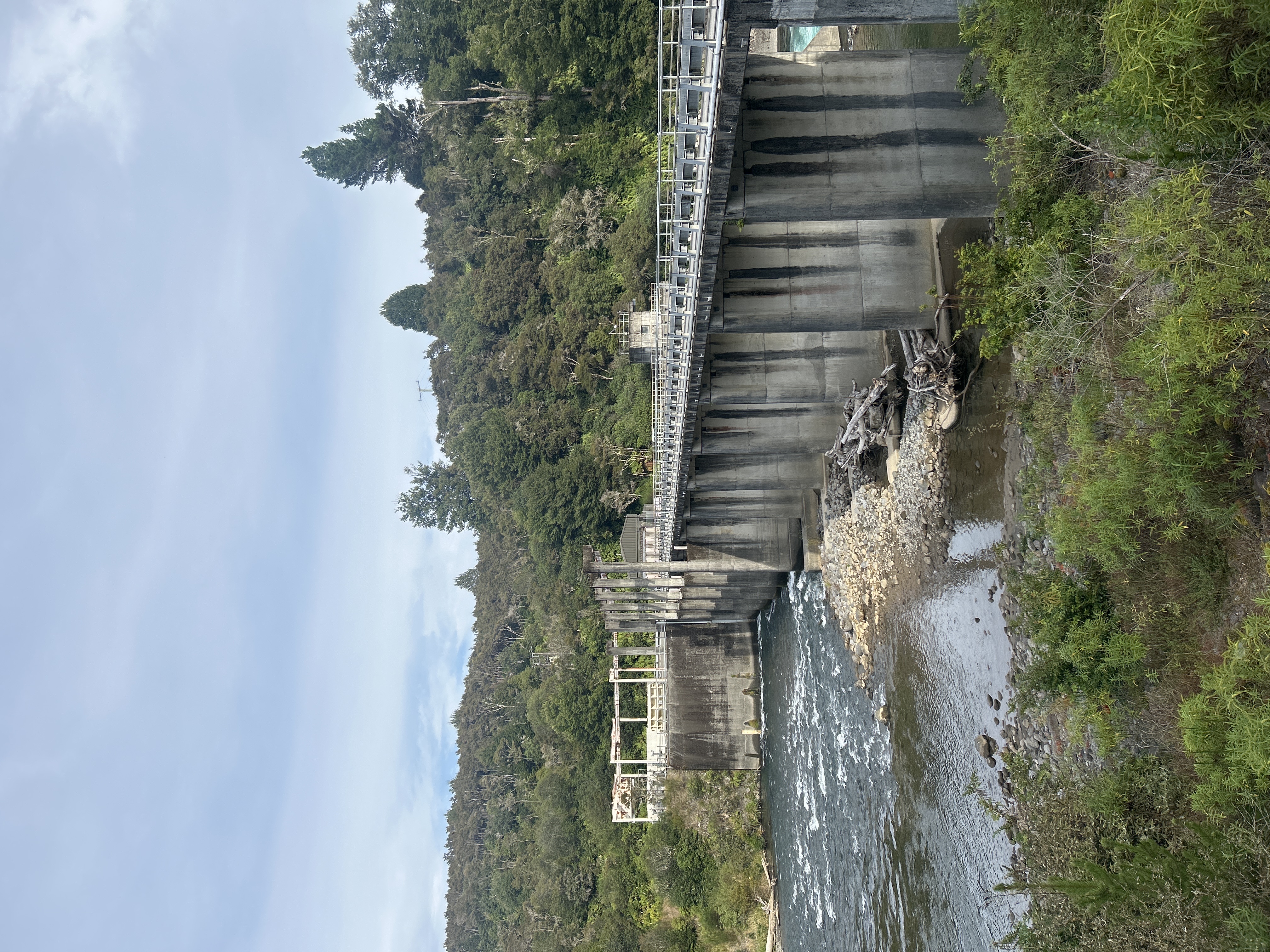 Kaimanawa Loop image 6