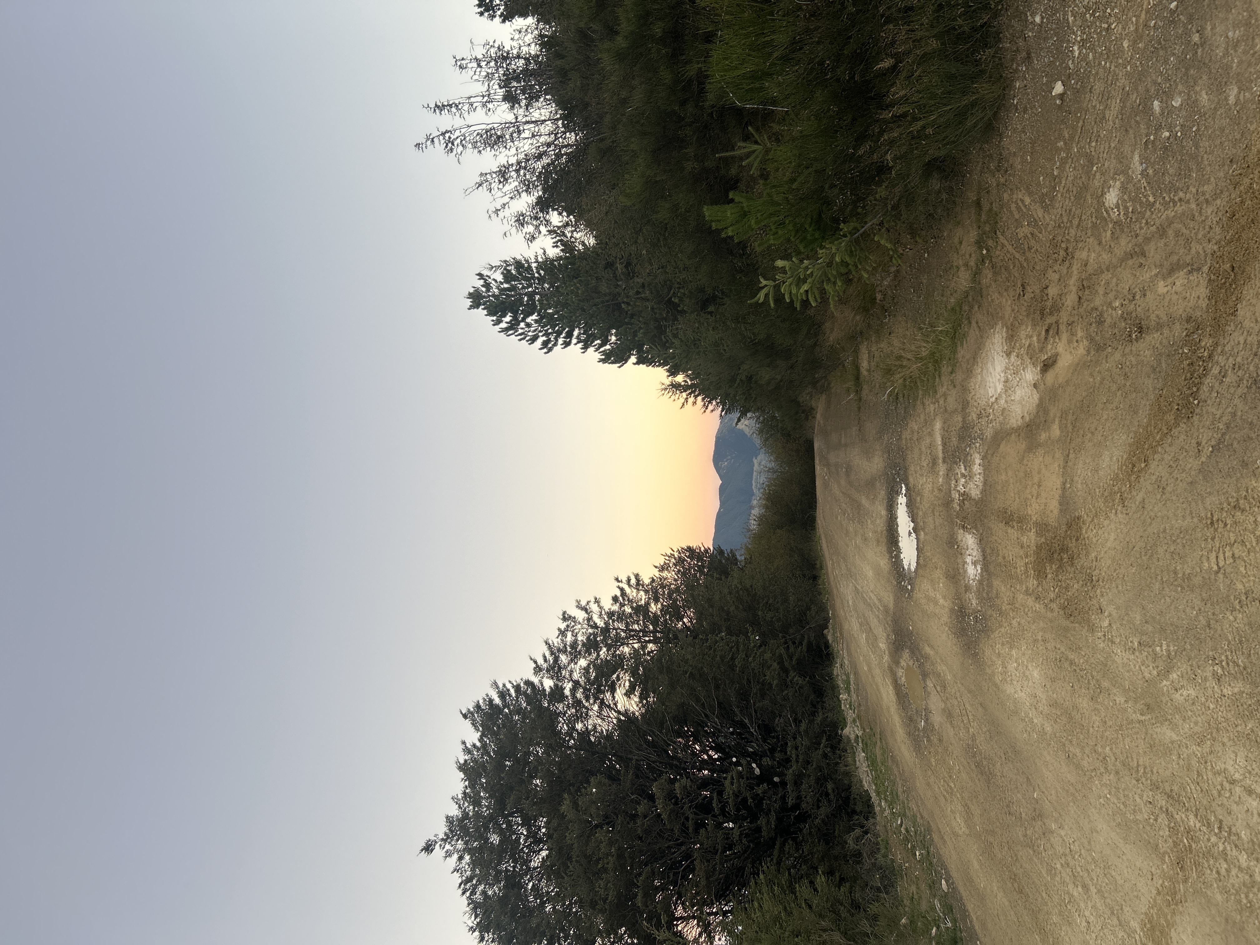 Jack Pass Road image 1