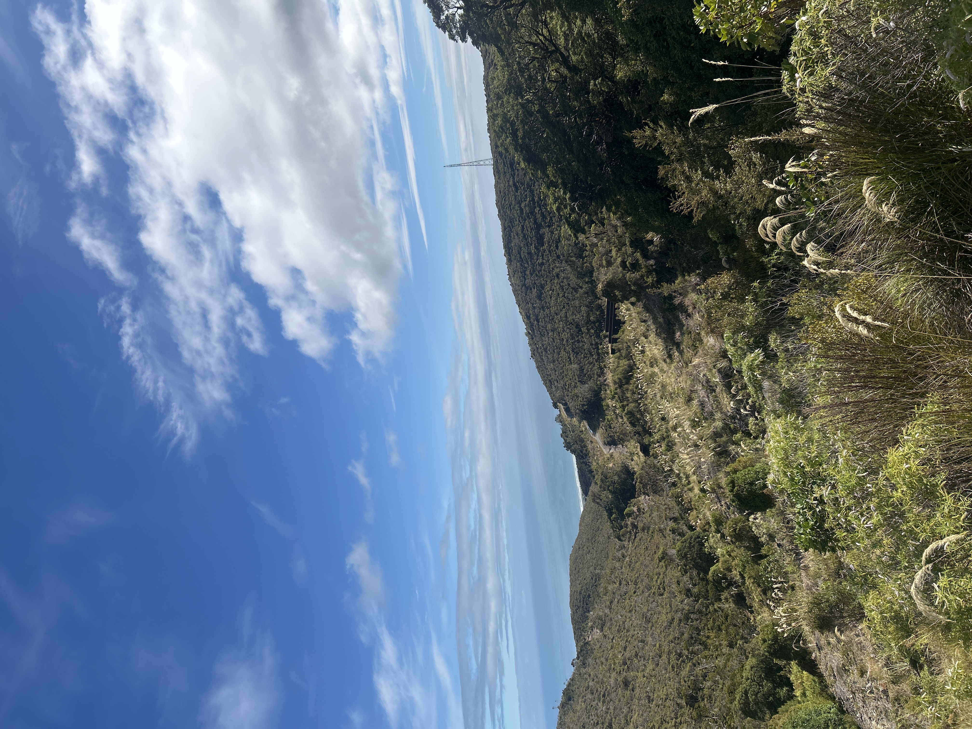 Mt Rochfort image 3