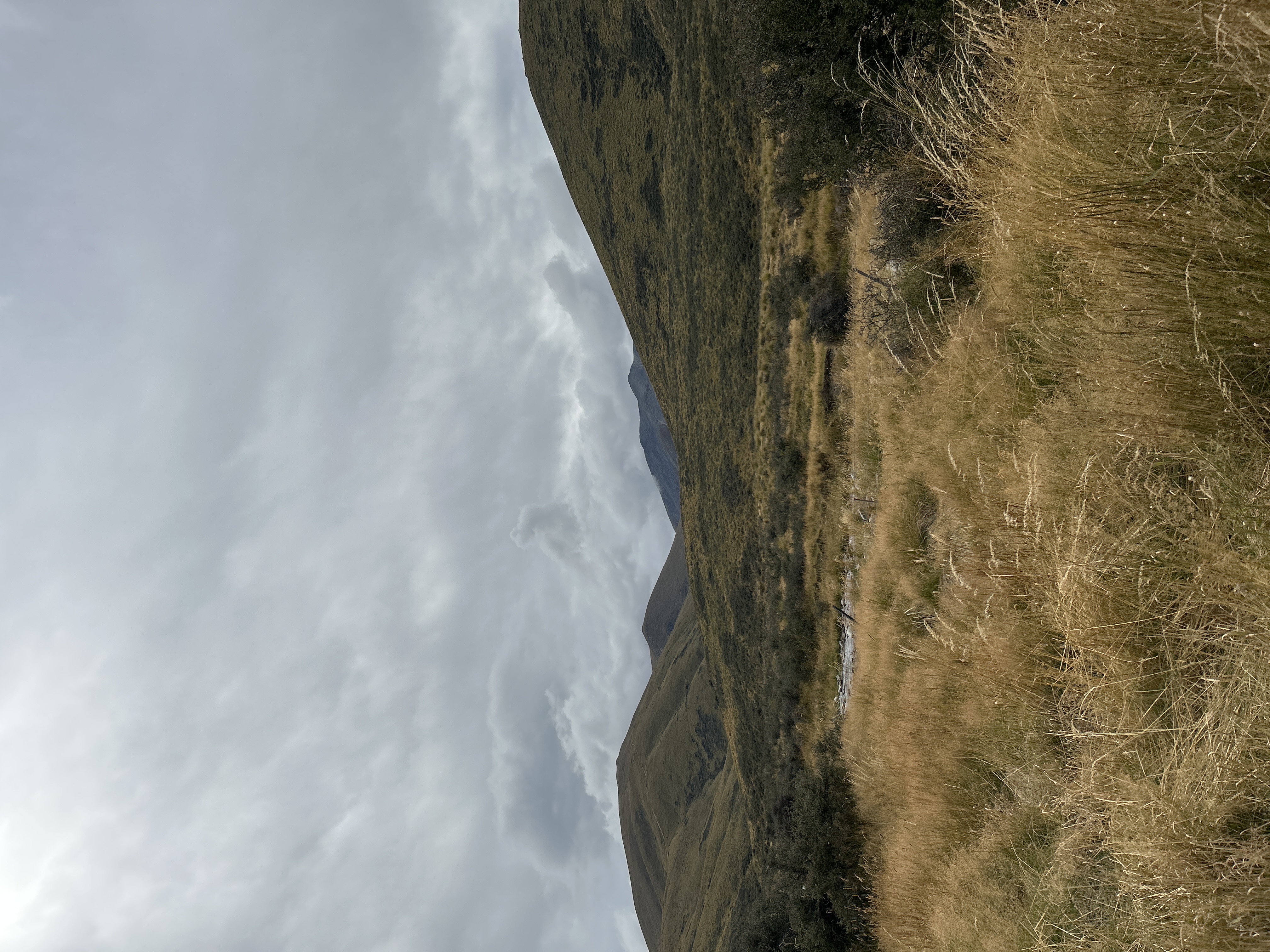 Hawkdun Runs Road image 7