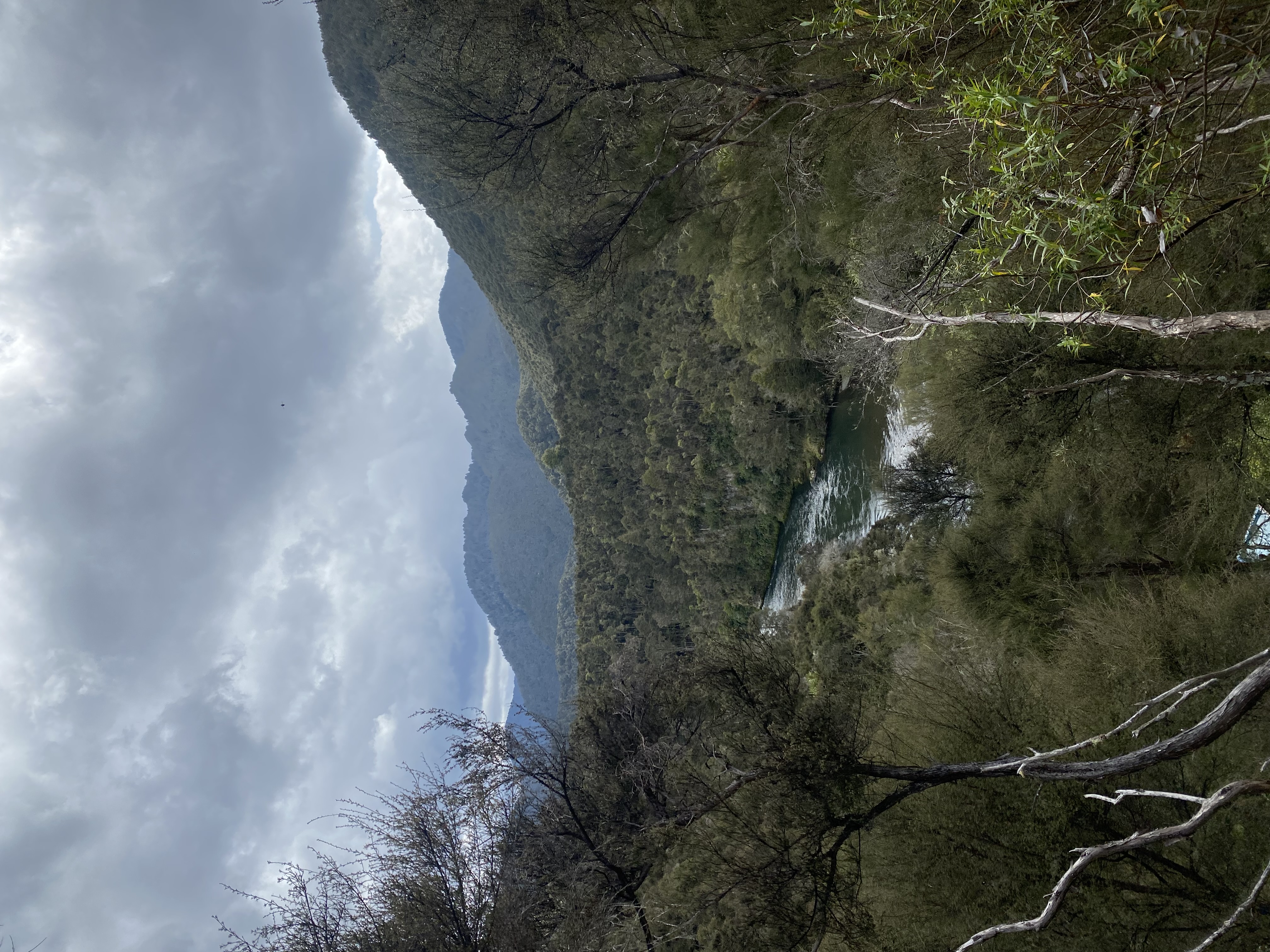 Makahu Road/Mangatutu Hot Springs image 6