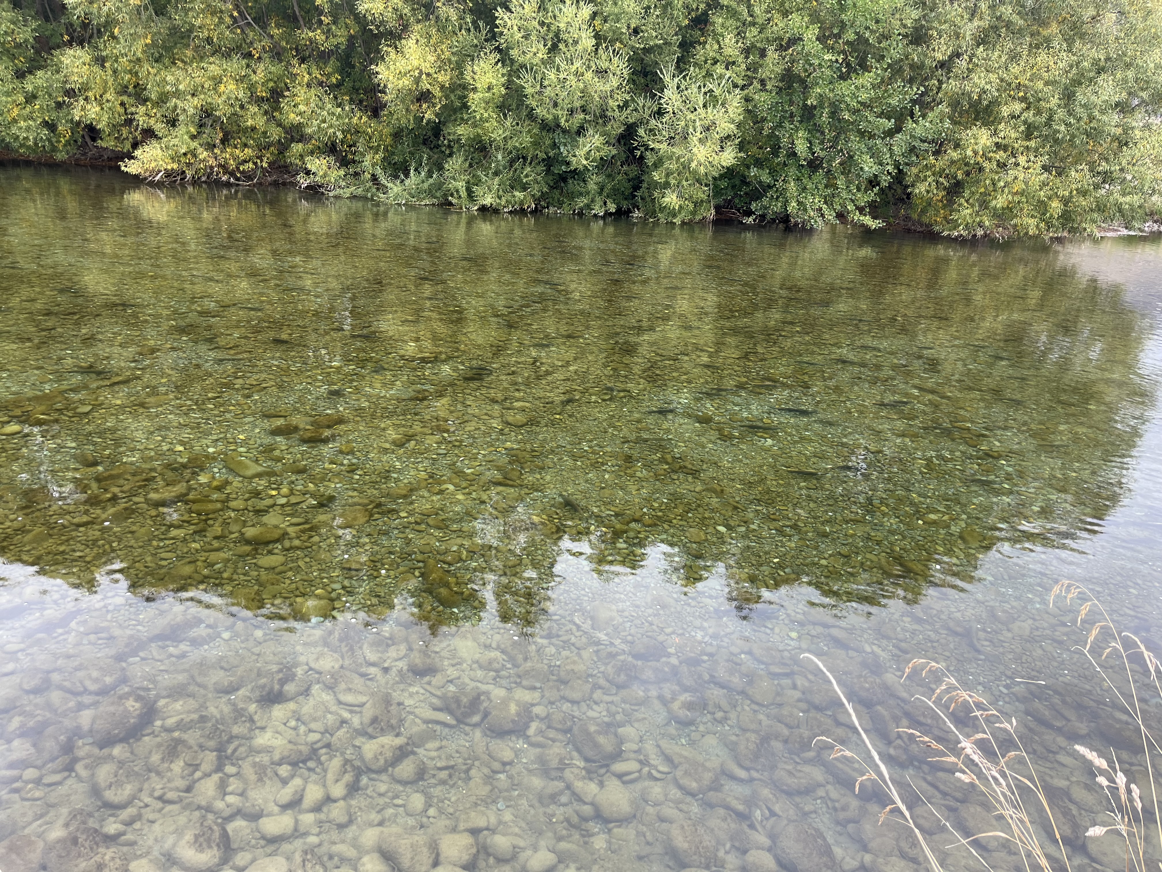 Ohau C image 2
