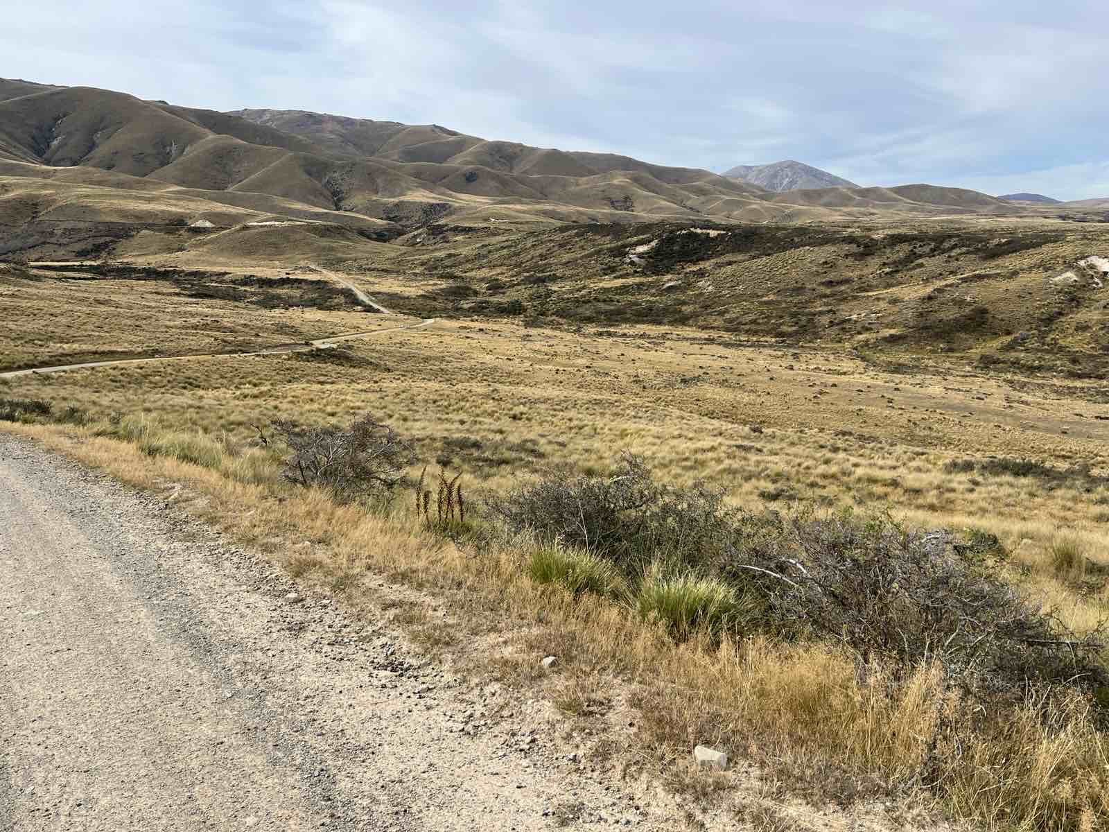 Home Hills Runs Road image 1