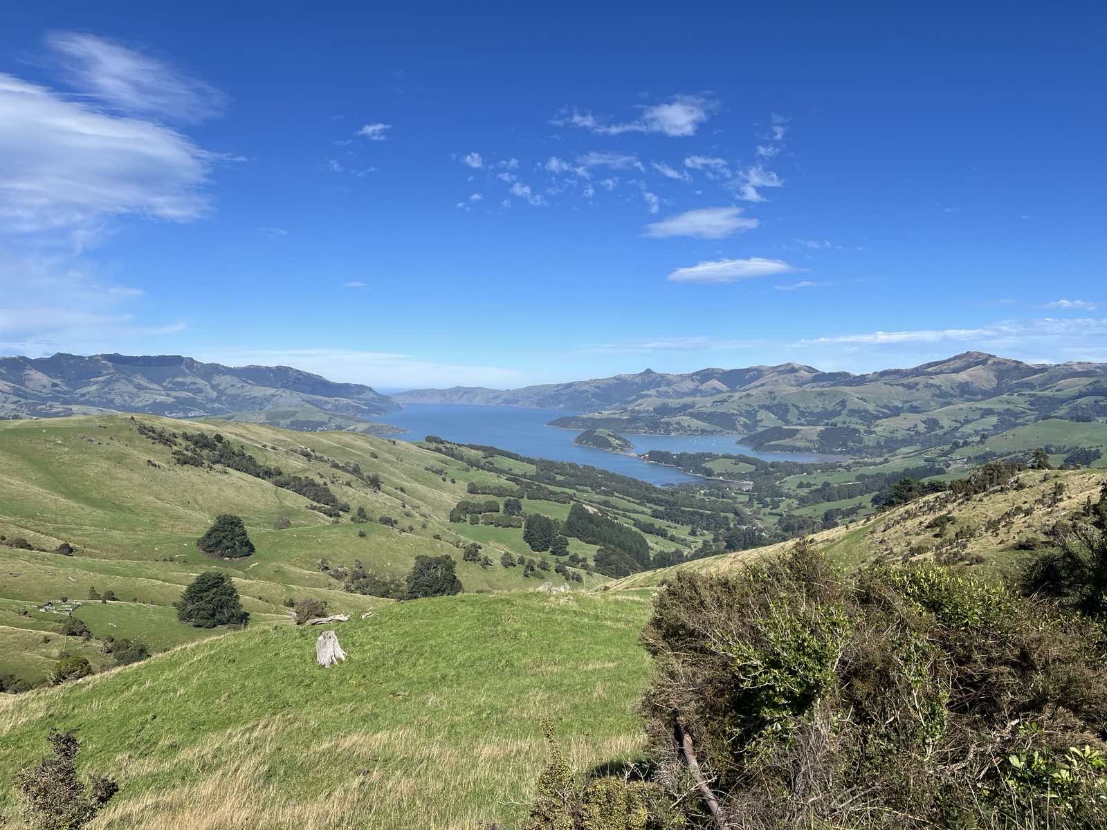 Akaroa Loop image 2