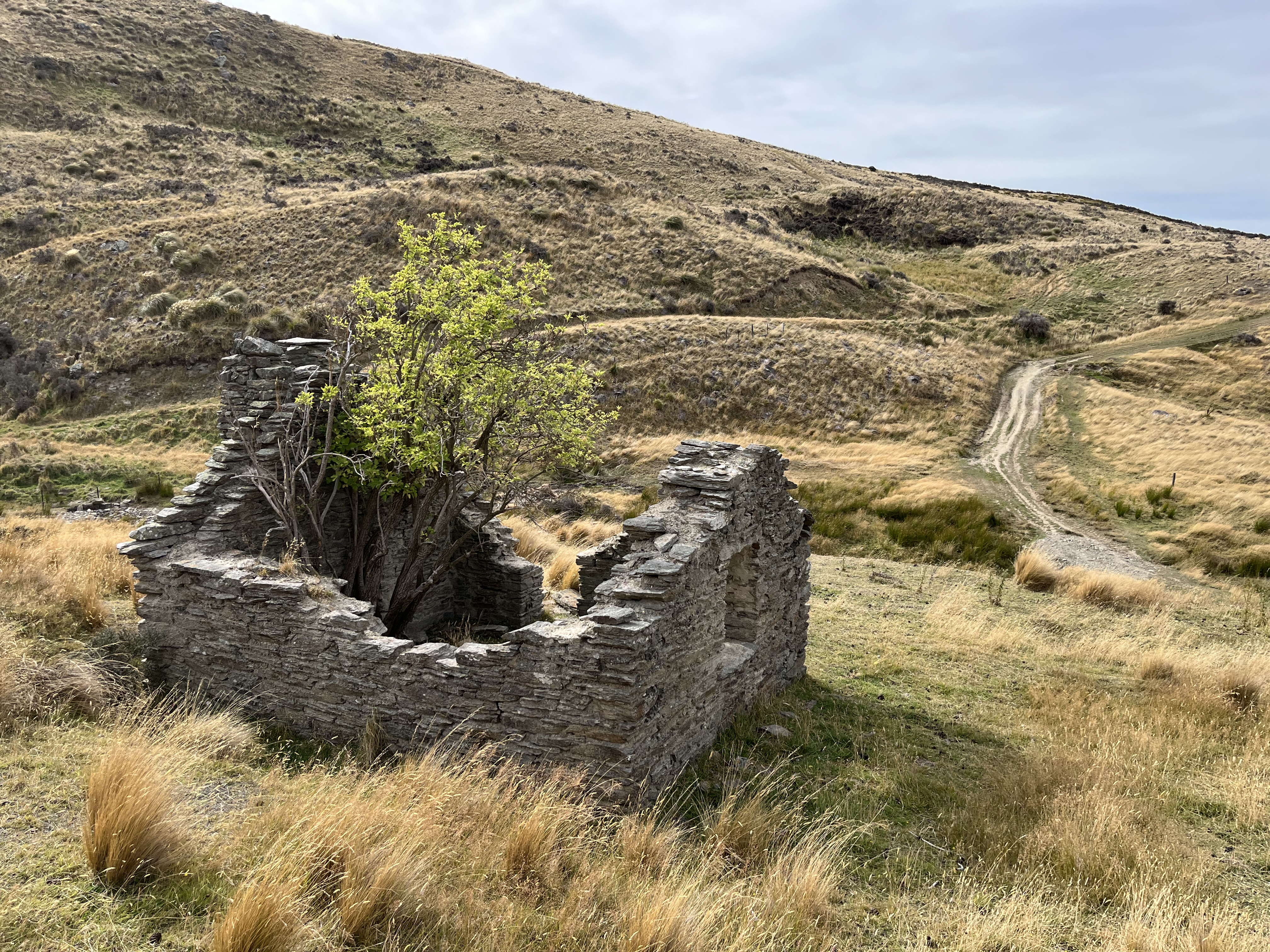 Garibaldi Diggings image 3