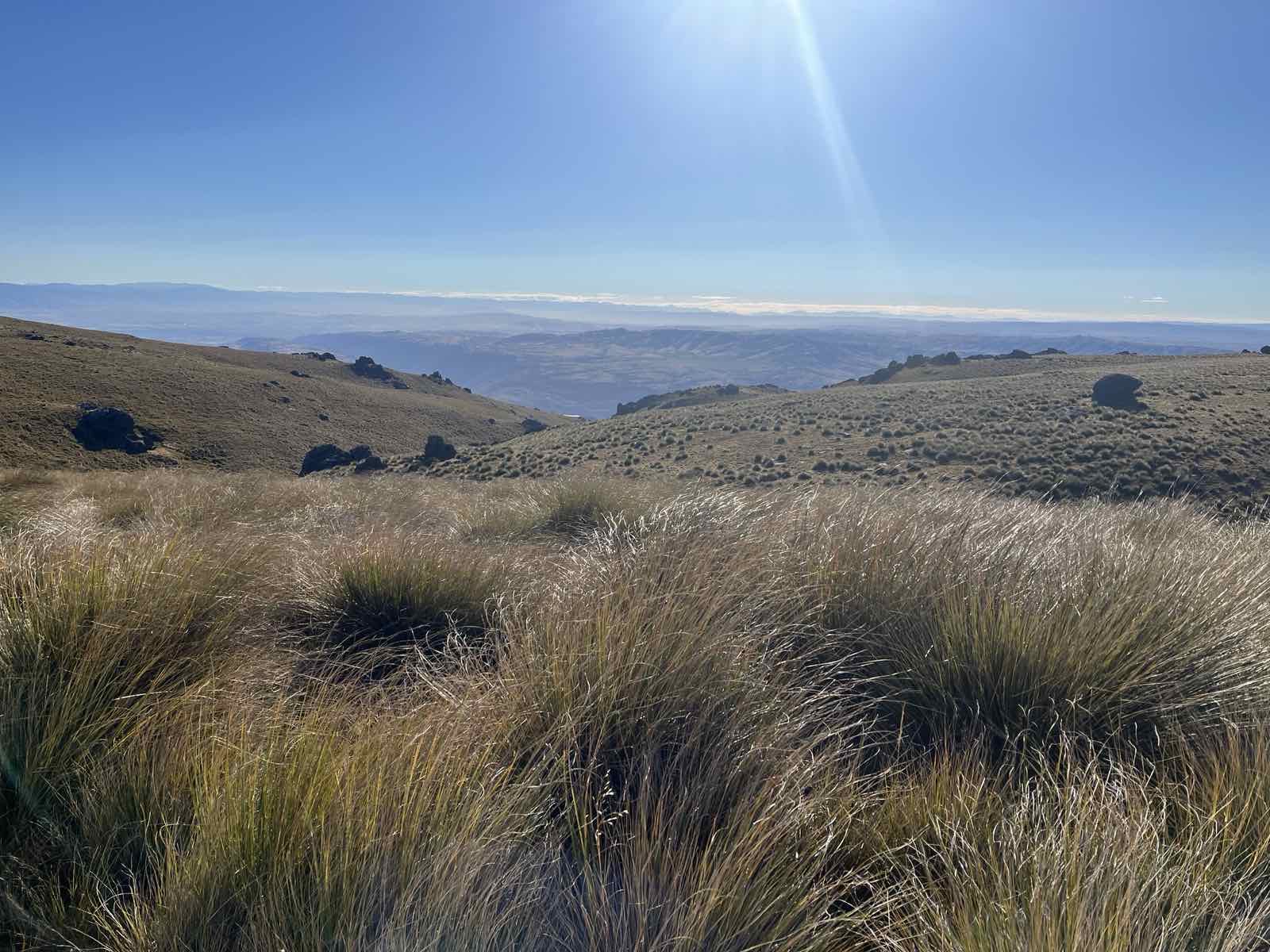 Waikaia Bush Road image 3