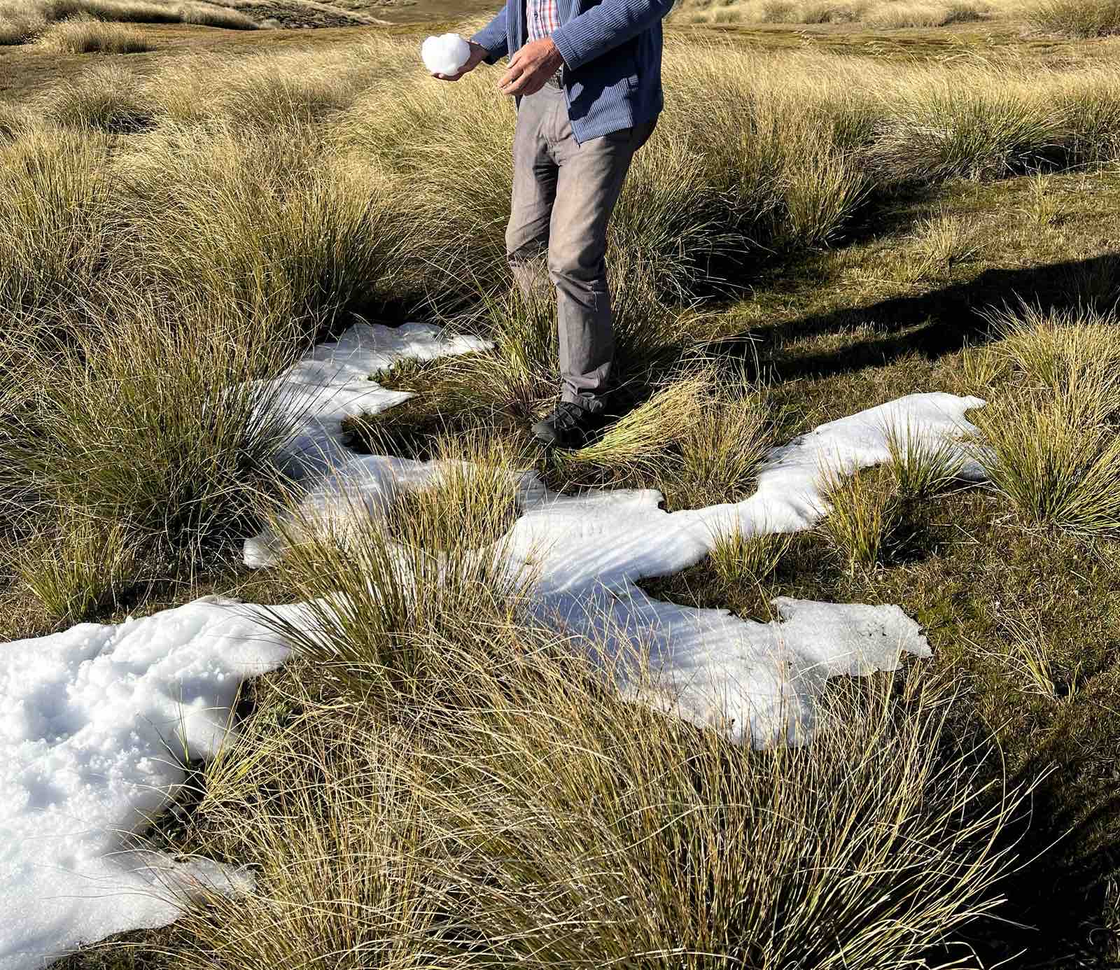 Waikaia Bush Road image 1