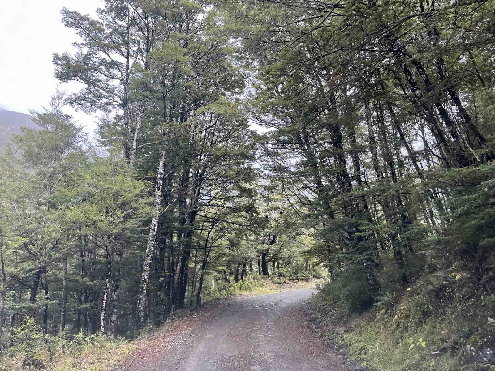 Top House Road image 1