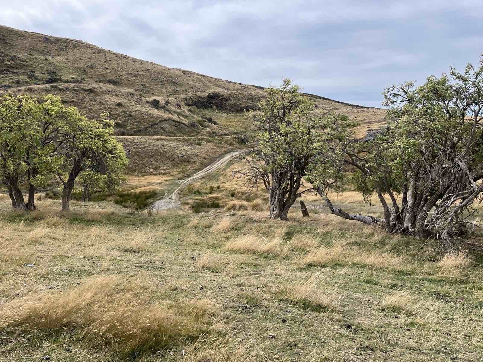 Garibaldi Diggings image 2