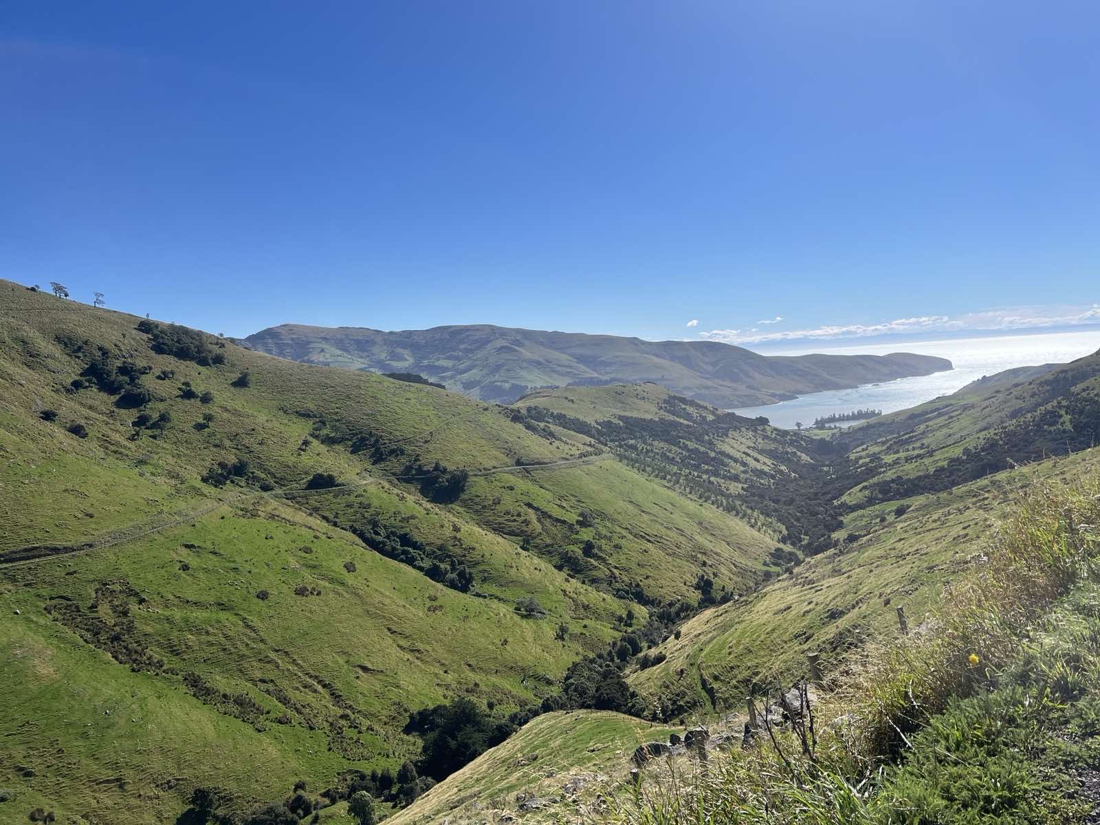 Akaroa Loop image 3