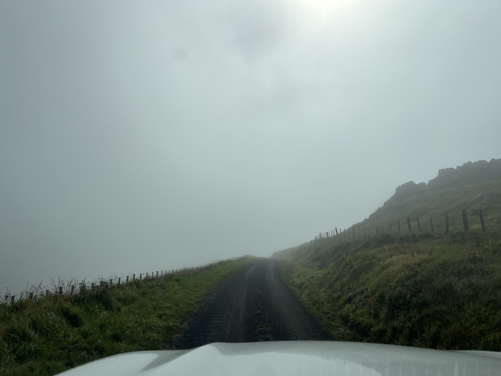 Akaroa Loop image 5