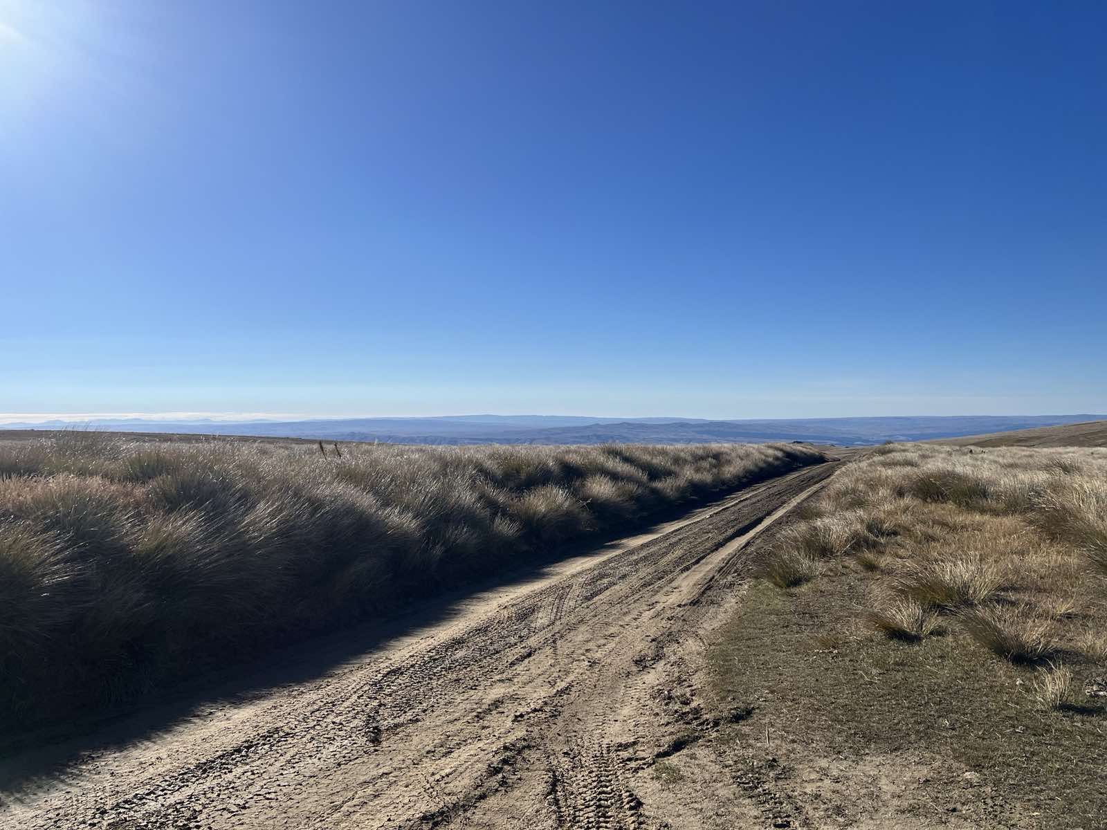 Waikaia Bush Road image 4
