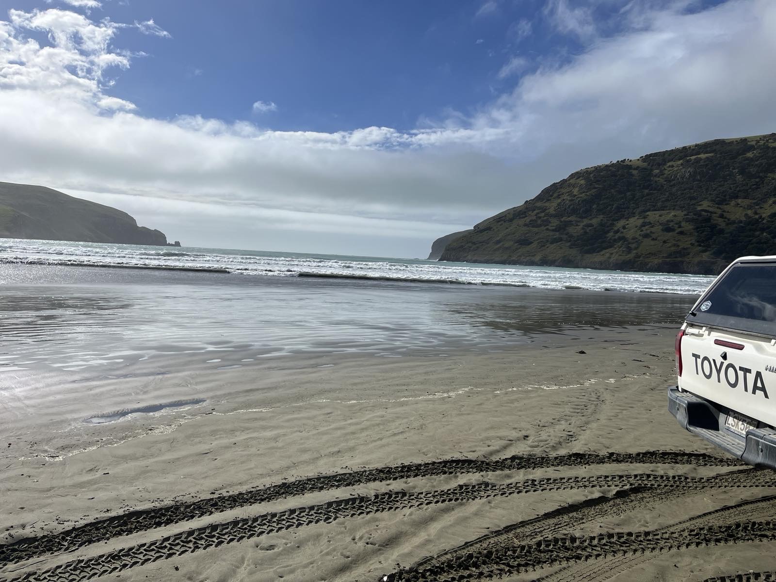 Akaroa Loop image 1