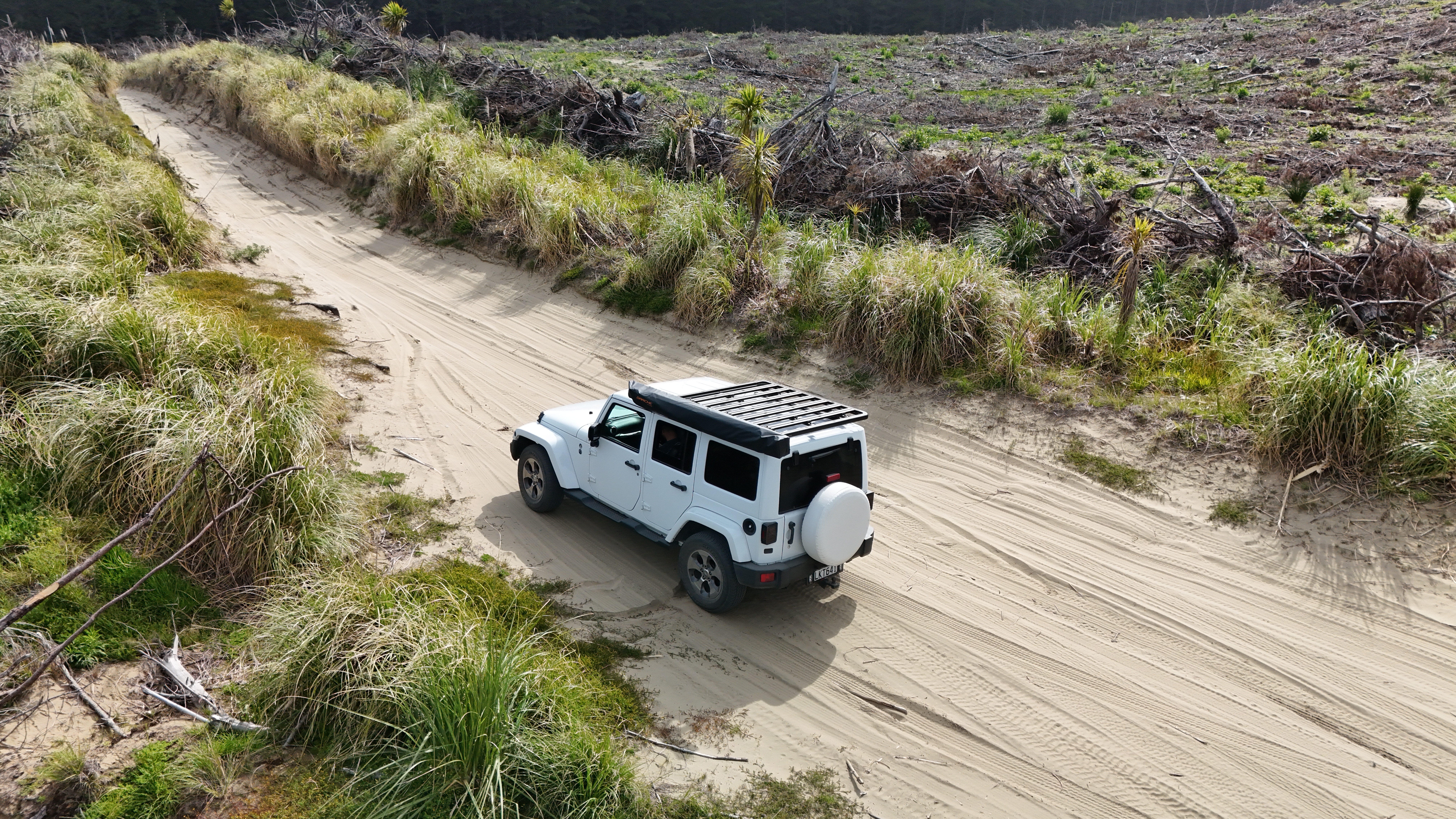 Muriwai Beach image 7