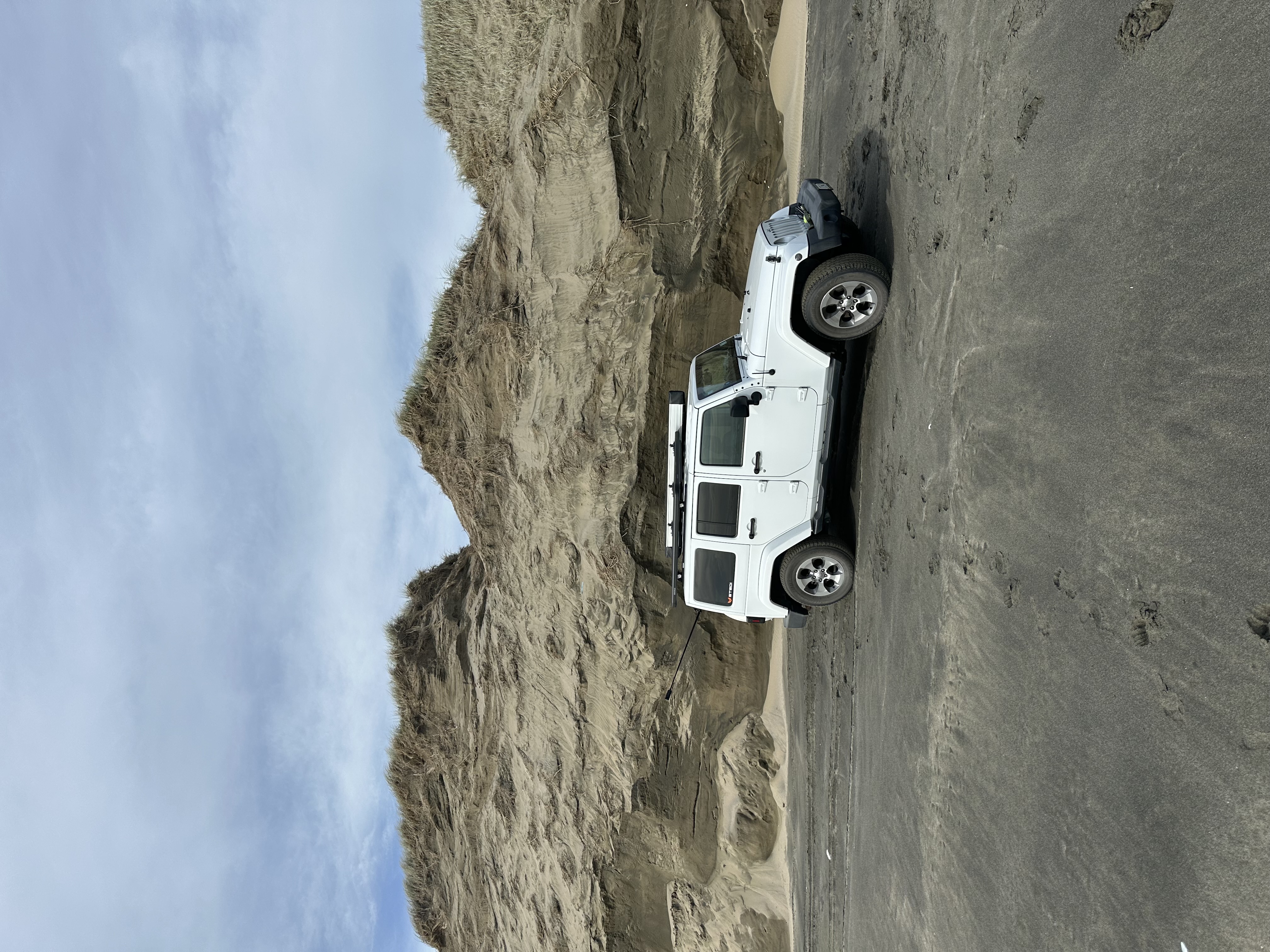 Muriwai Beach image 5