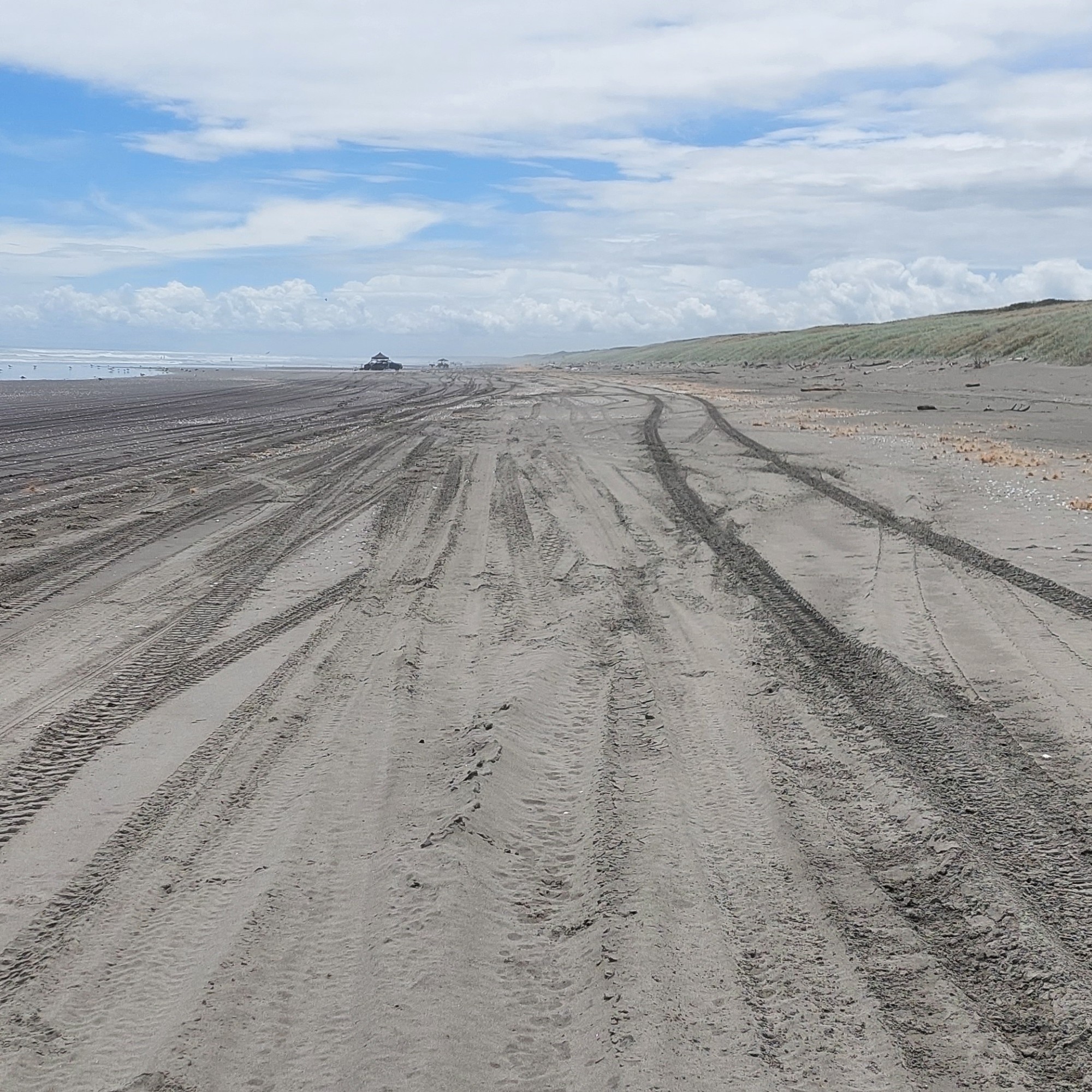Himatangi Beach image 2