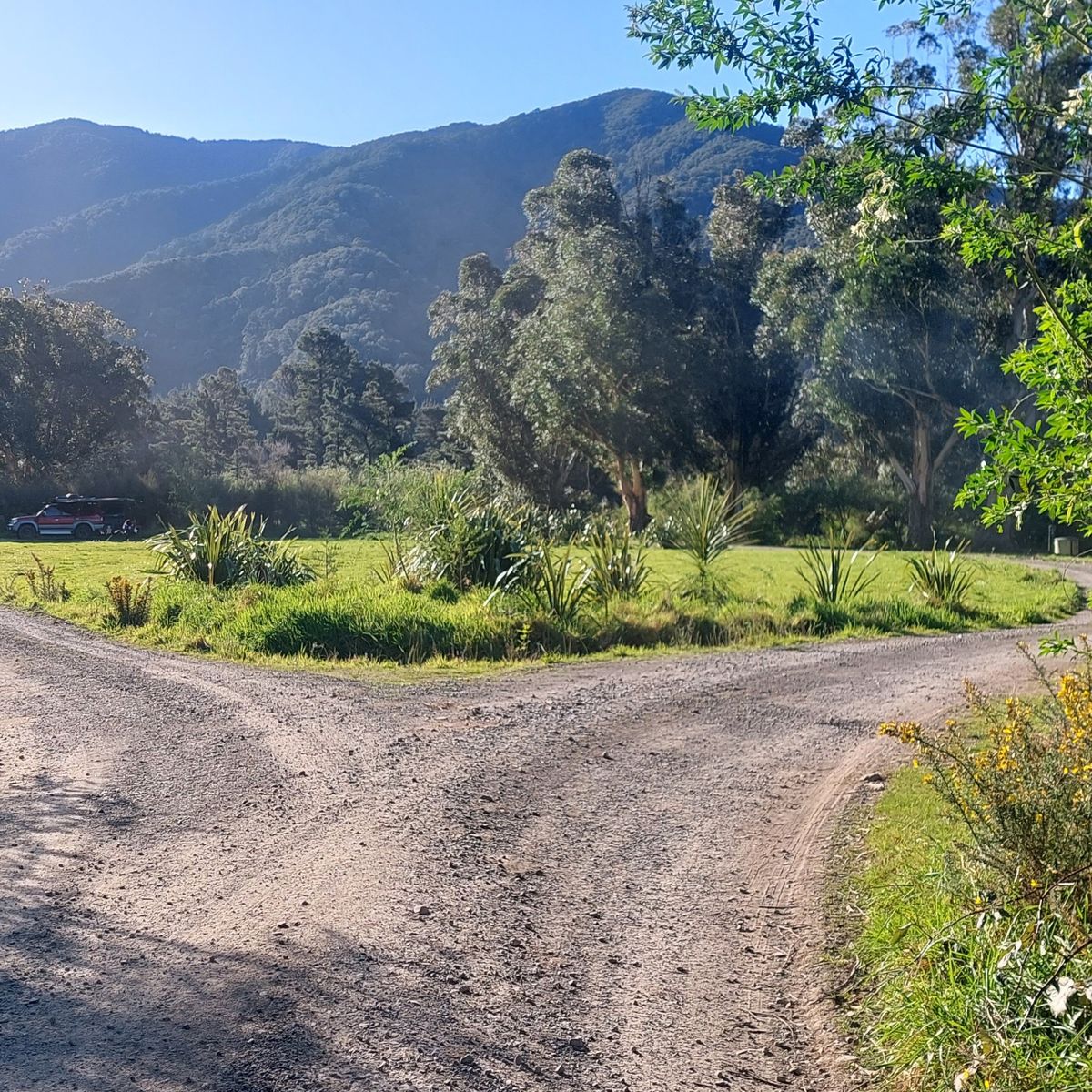 Bucks Road Campsite image 3