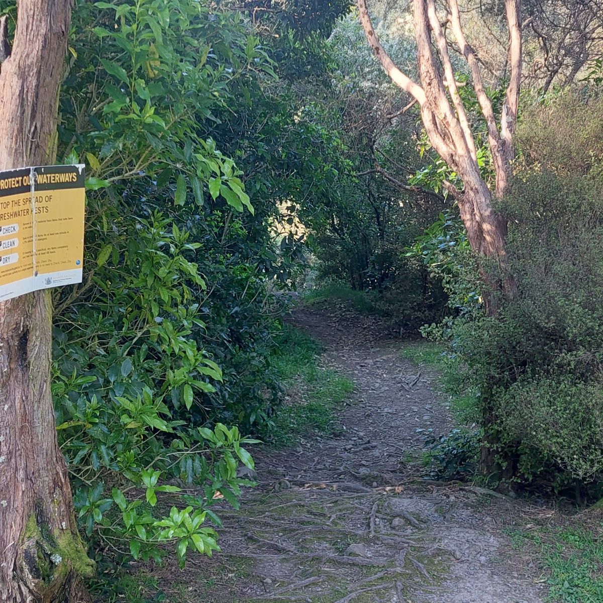Bucks Road Campsite image 1
