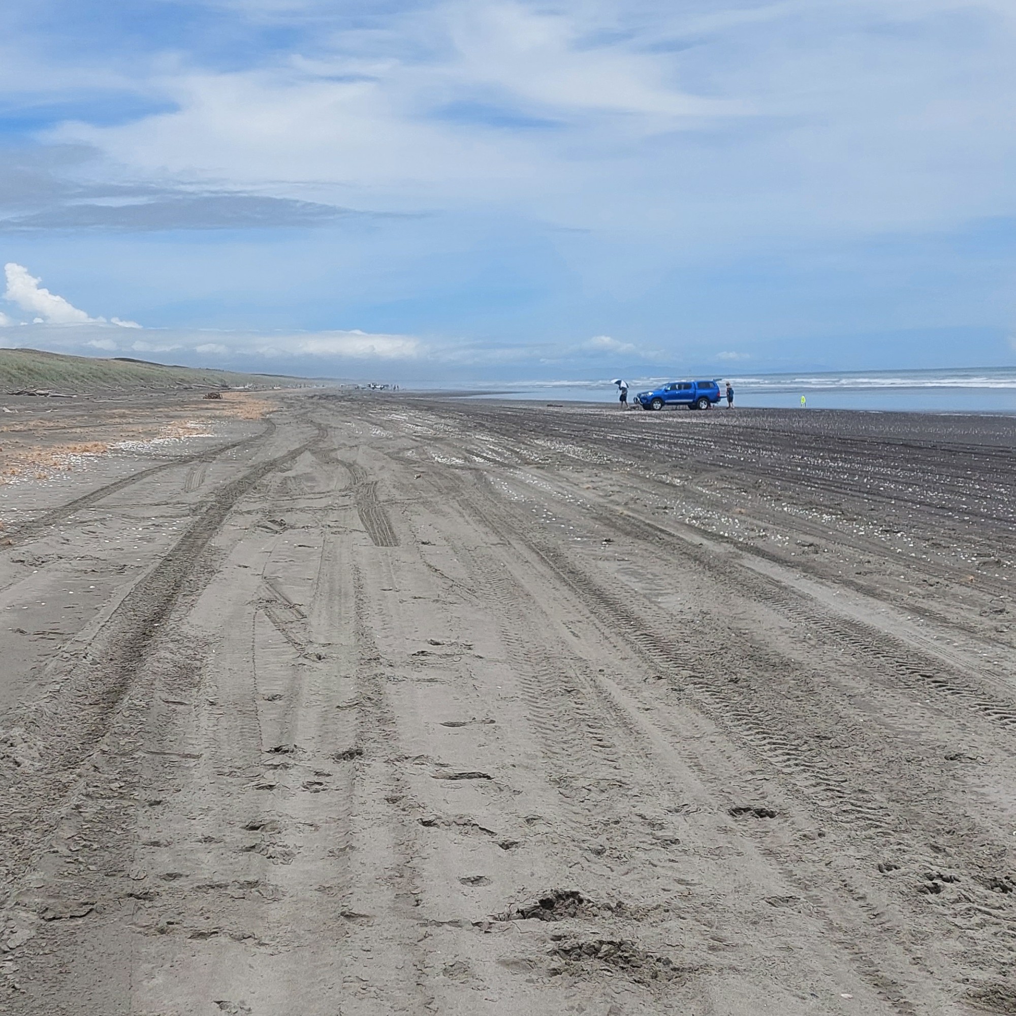 Himatangi Beach image 1