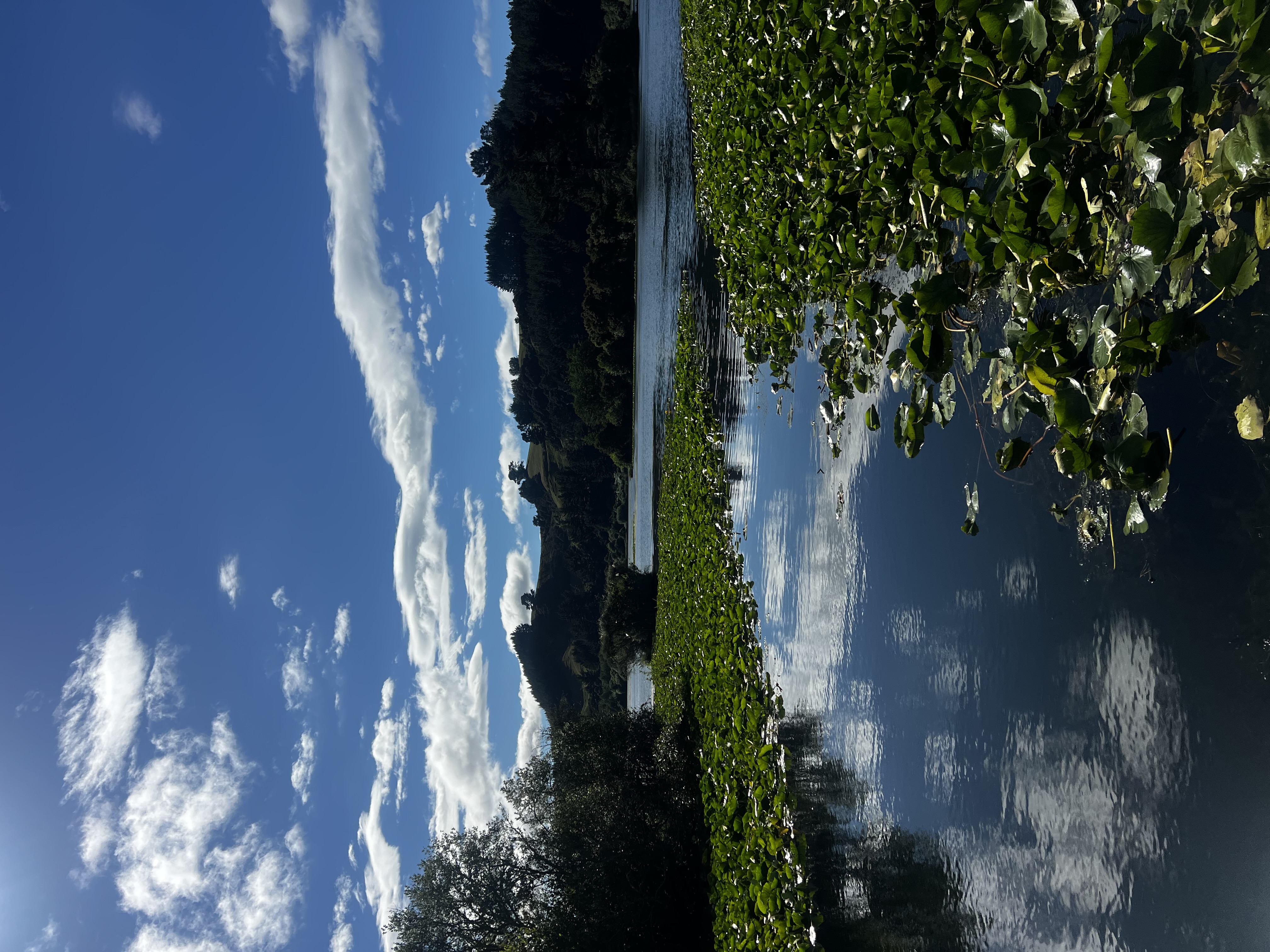 Dunham's Point Reserve image 1