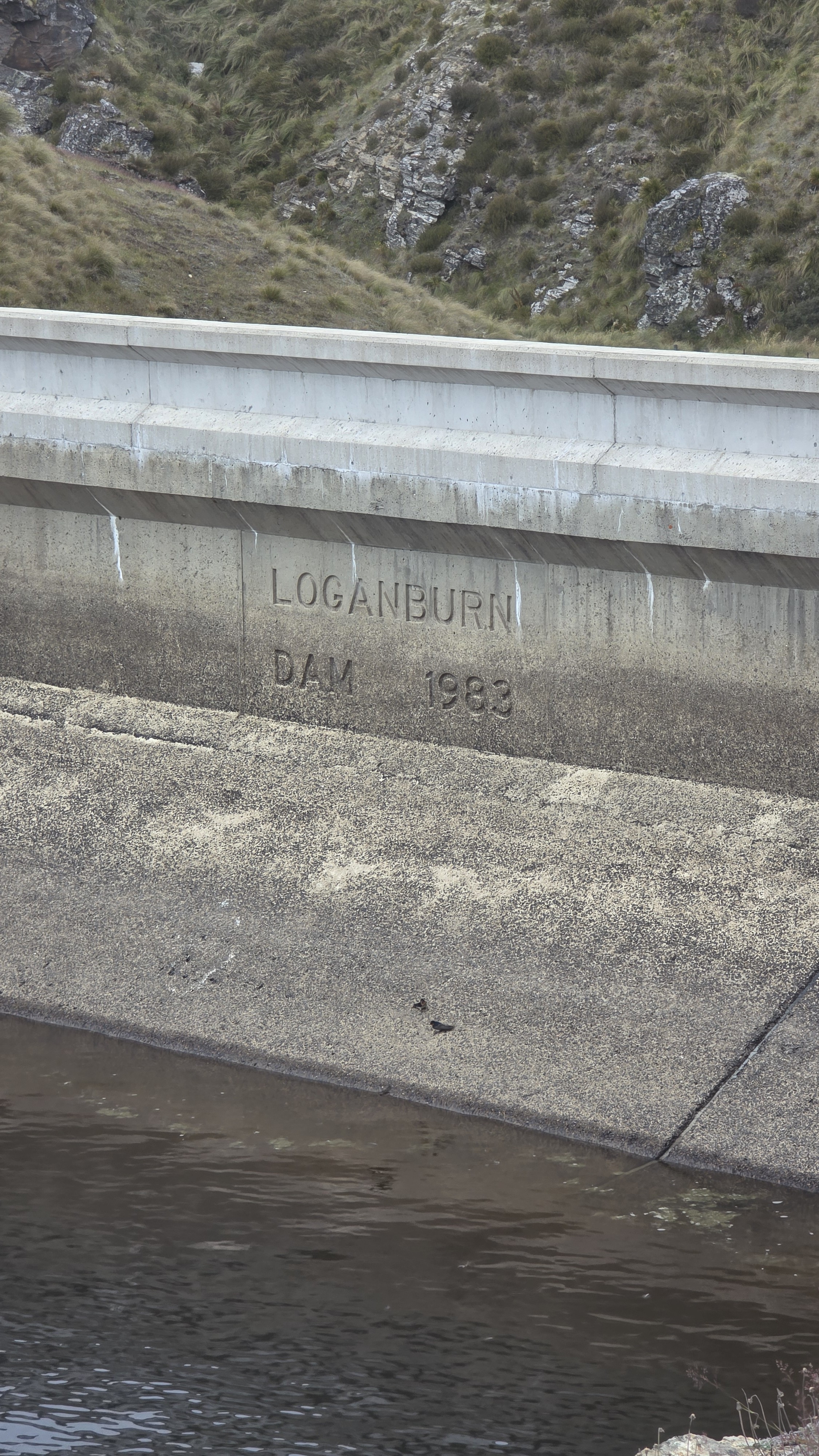 Loganburn Dam image 4