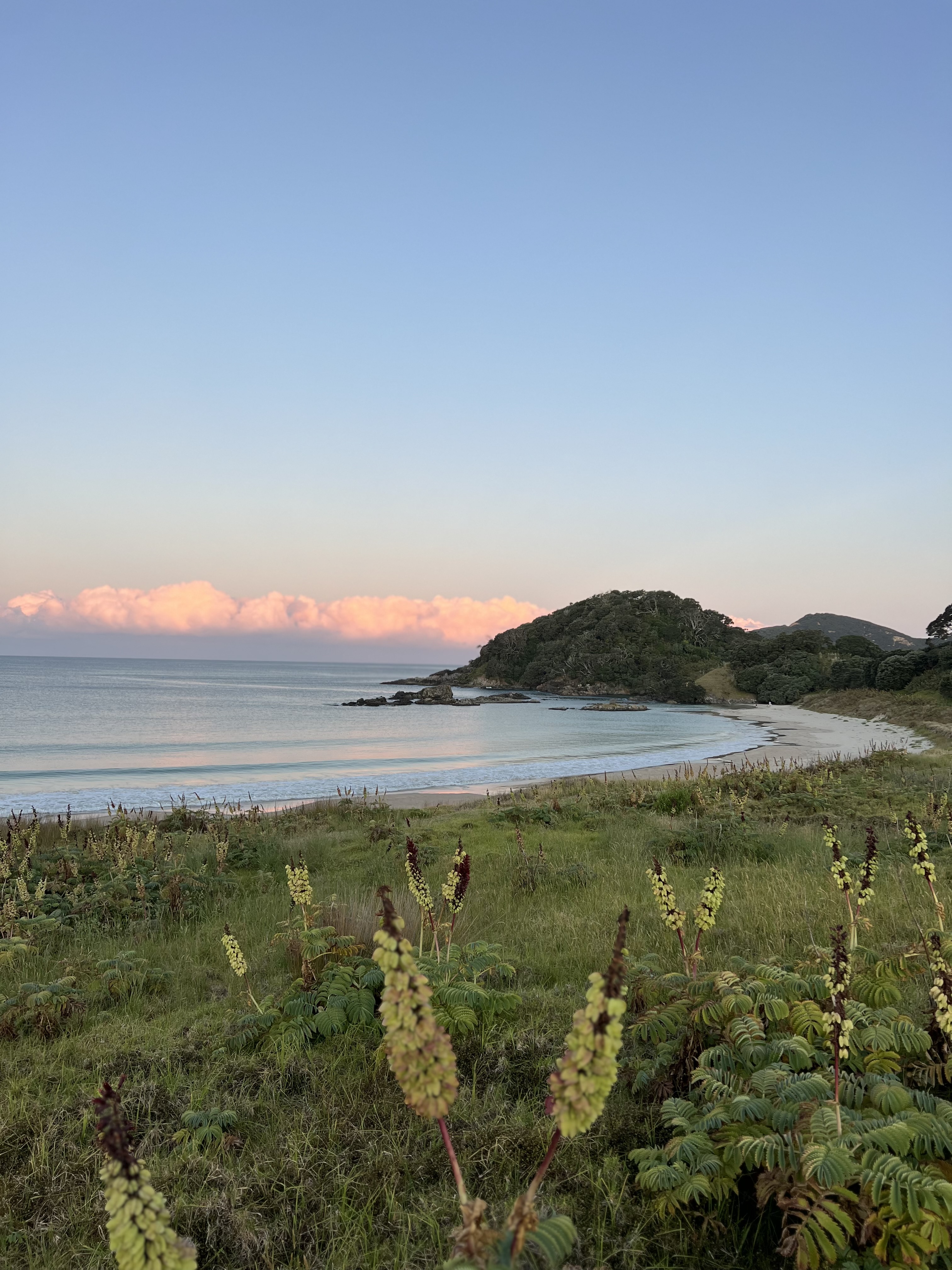 Maitai Bay Campsite image 1