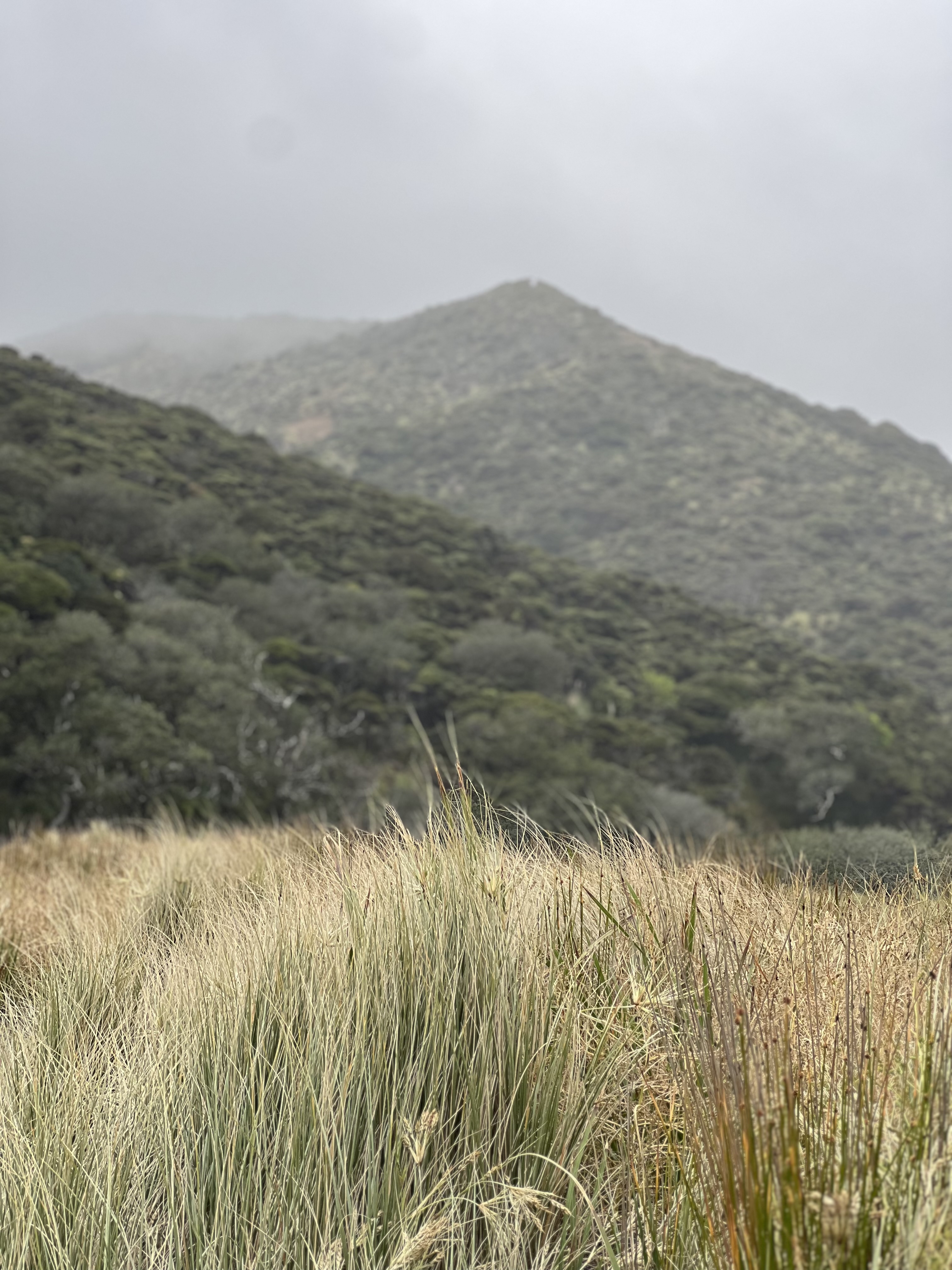 Tapotupotu Campsite image 1