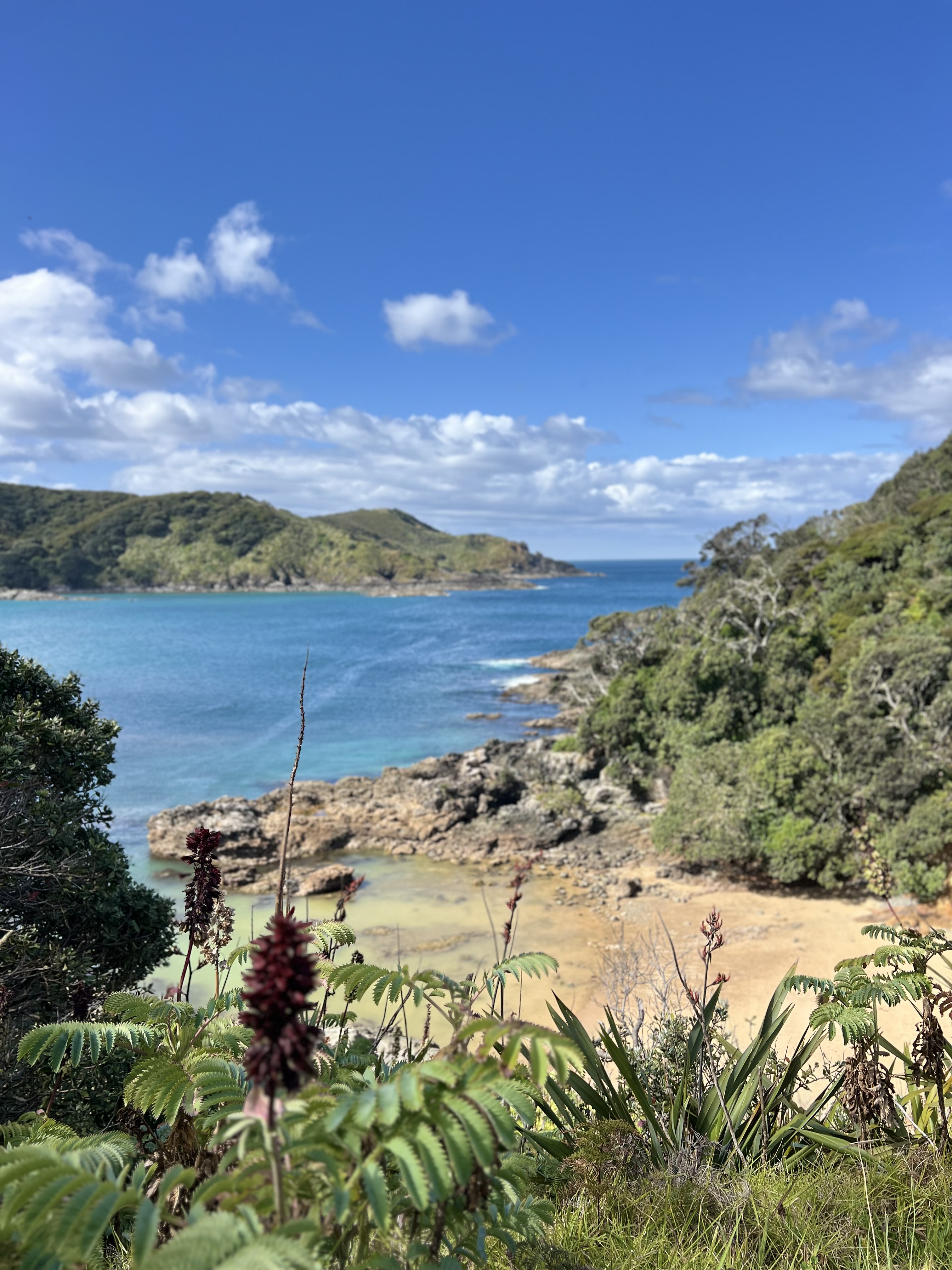 Maitai Bay Campsite image 2