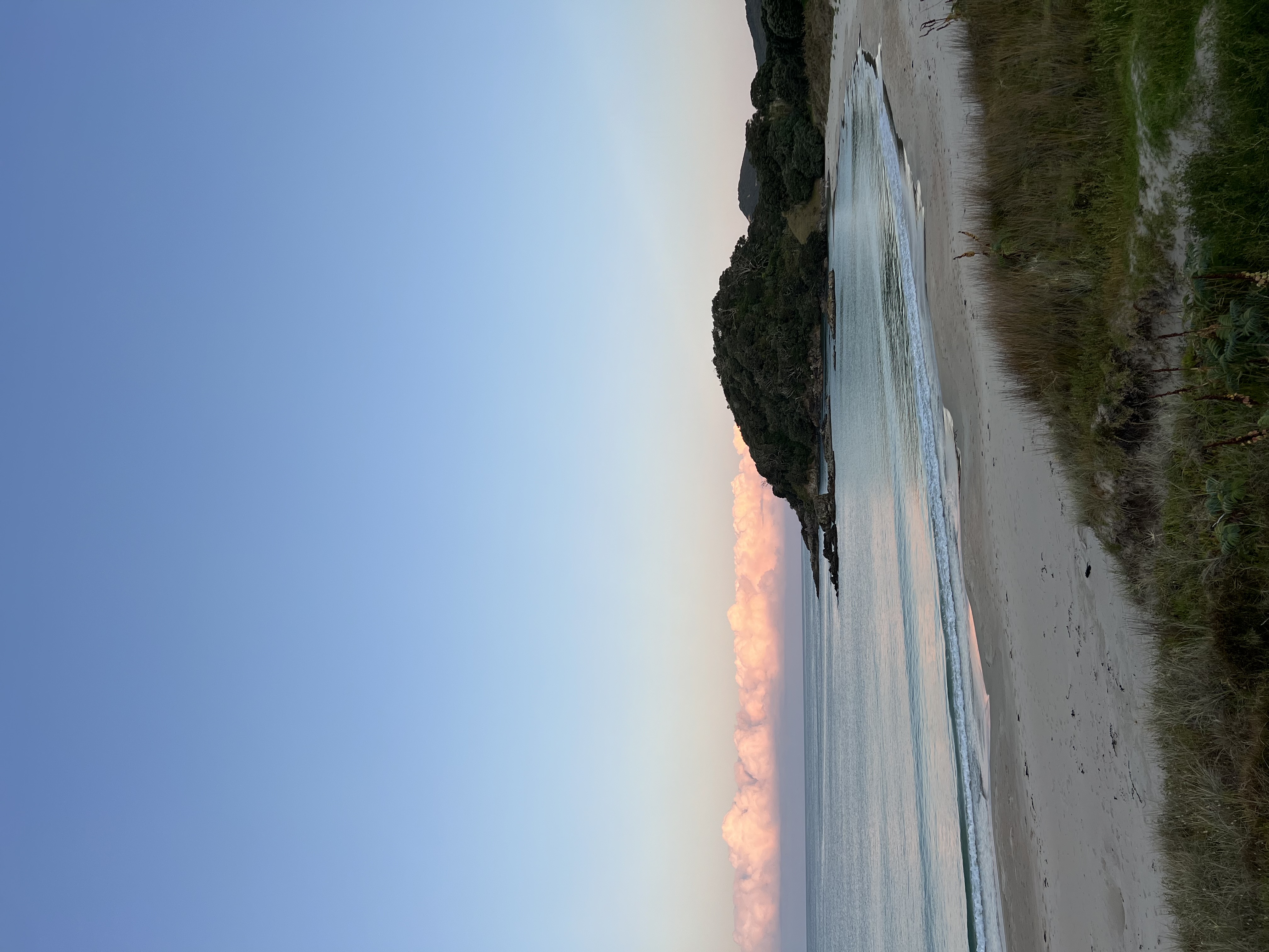 Maitai Bay Campsite image 4