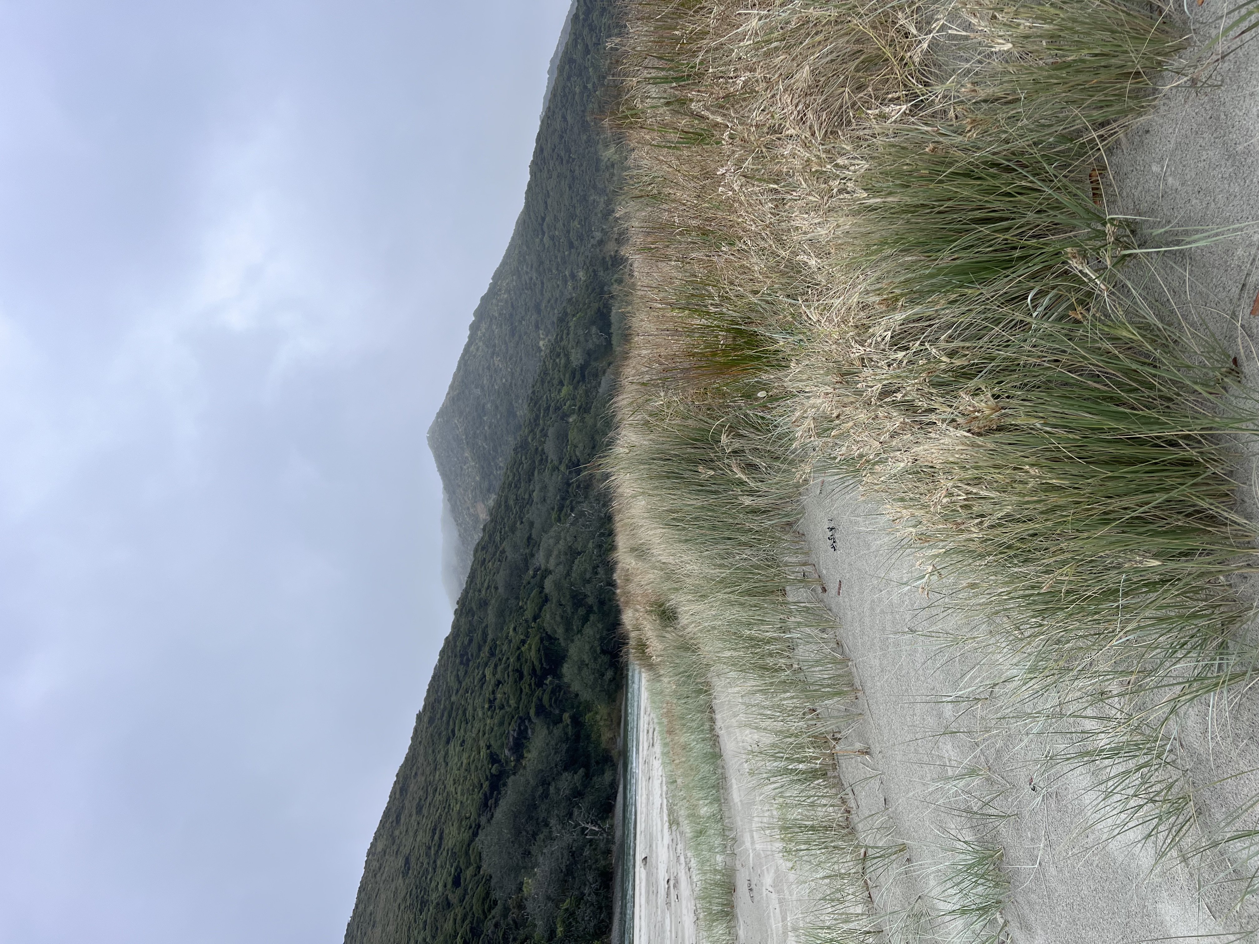 Tapotupotu Campsite image 6