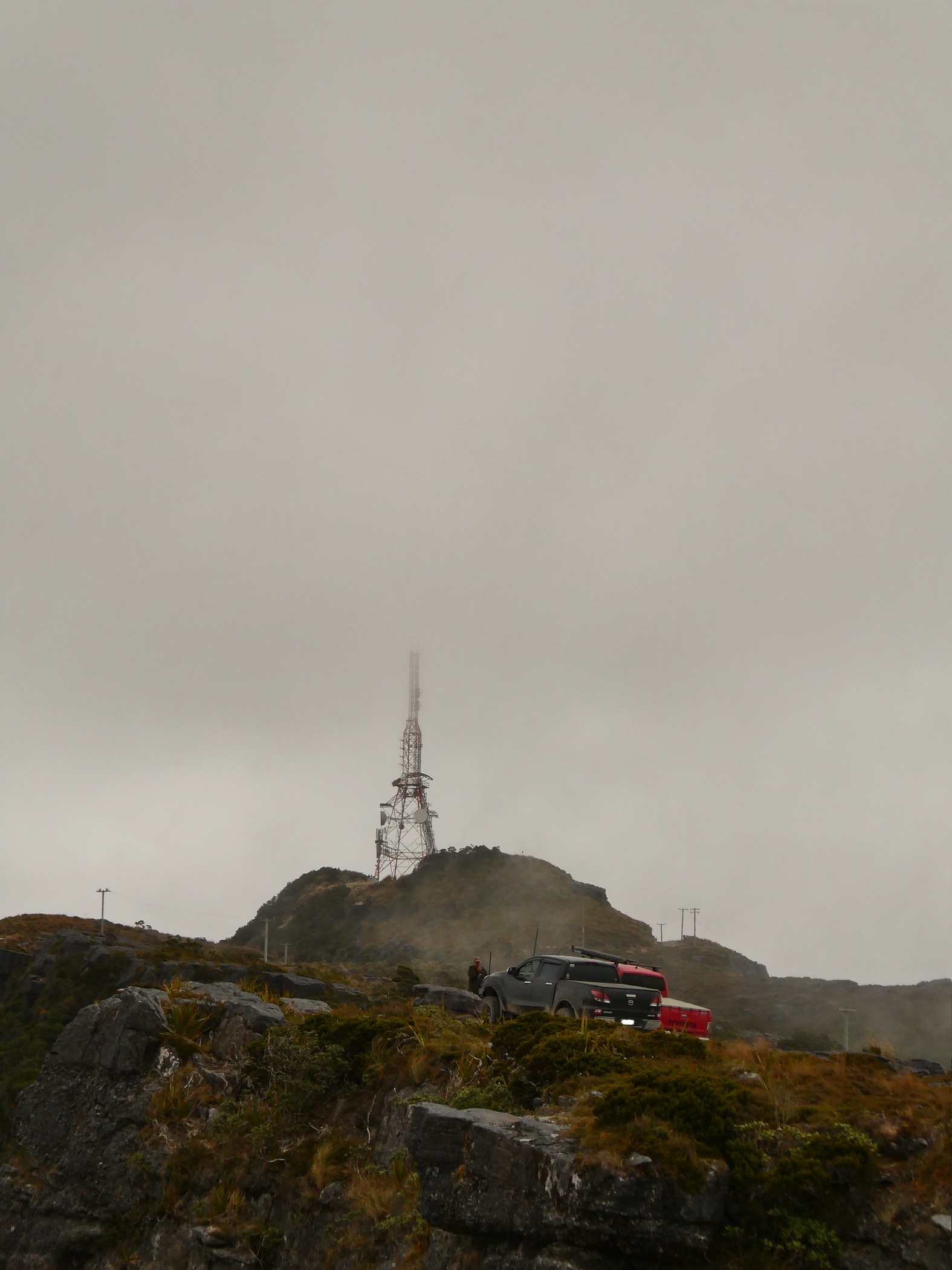 Mt Rochfort image 6