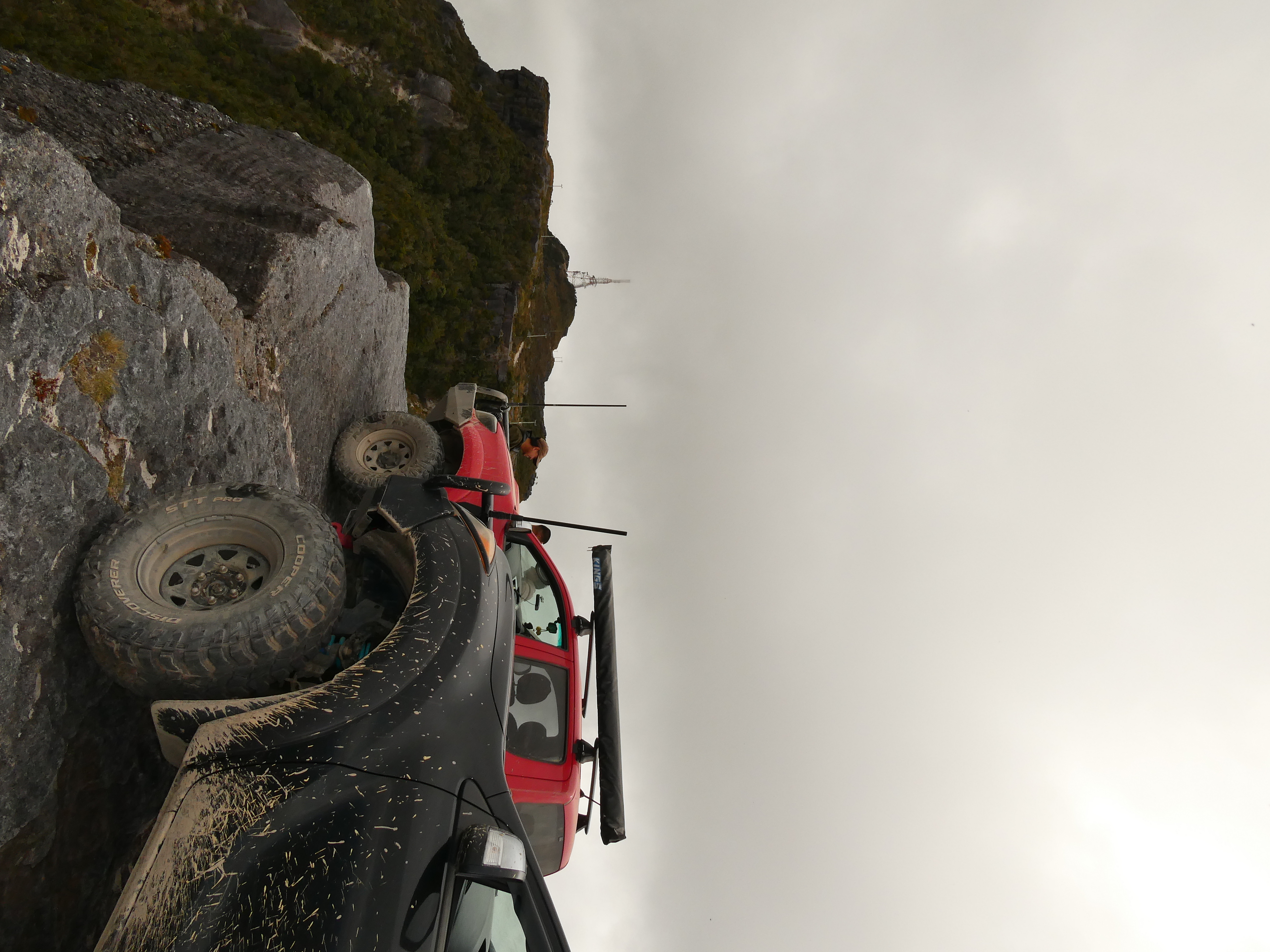 Mt Rochfort image 7