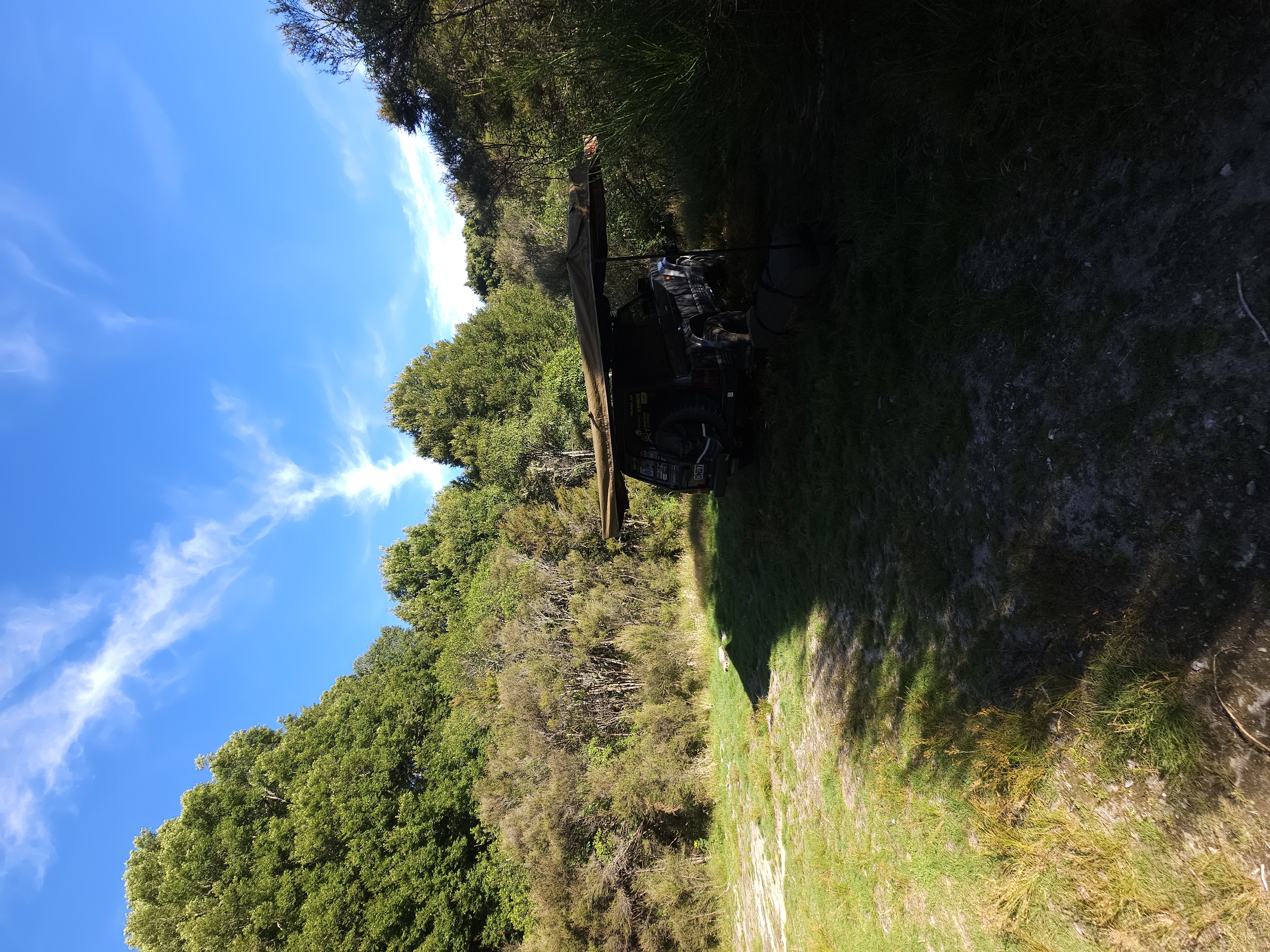 Clements Clearing Campsite image 1