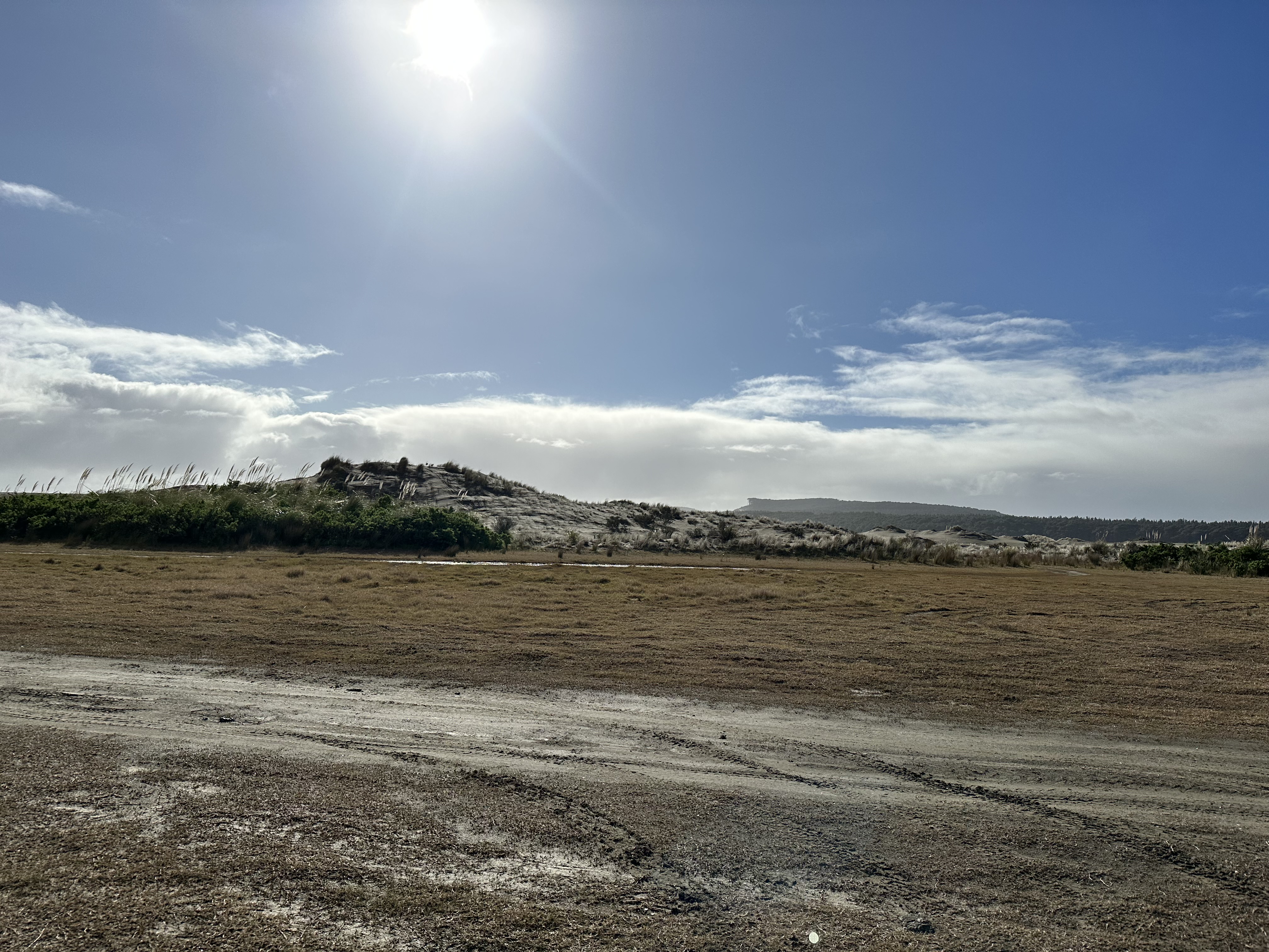 Port Waikato image 8