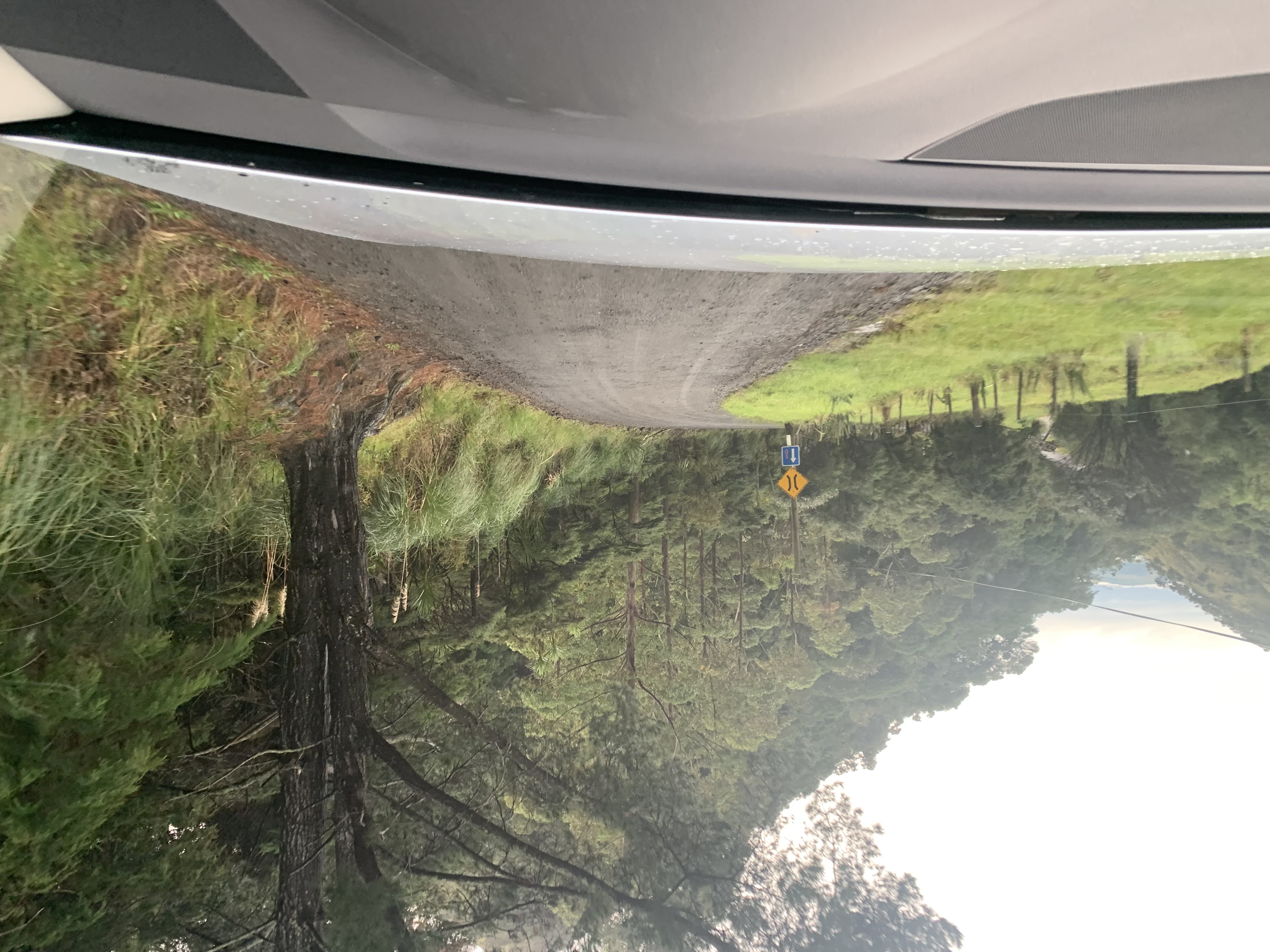 Waiotemarama Gorge image 1