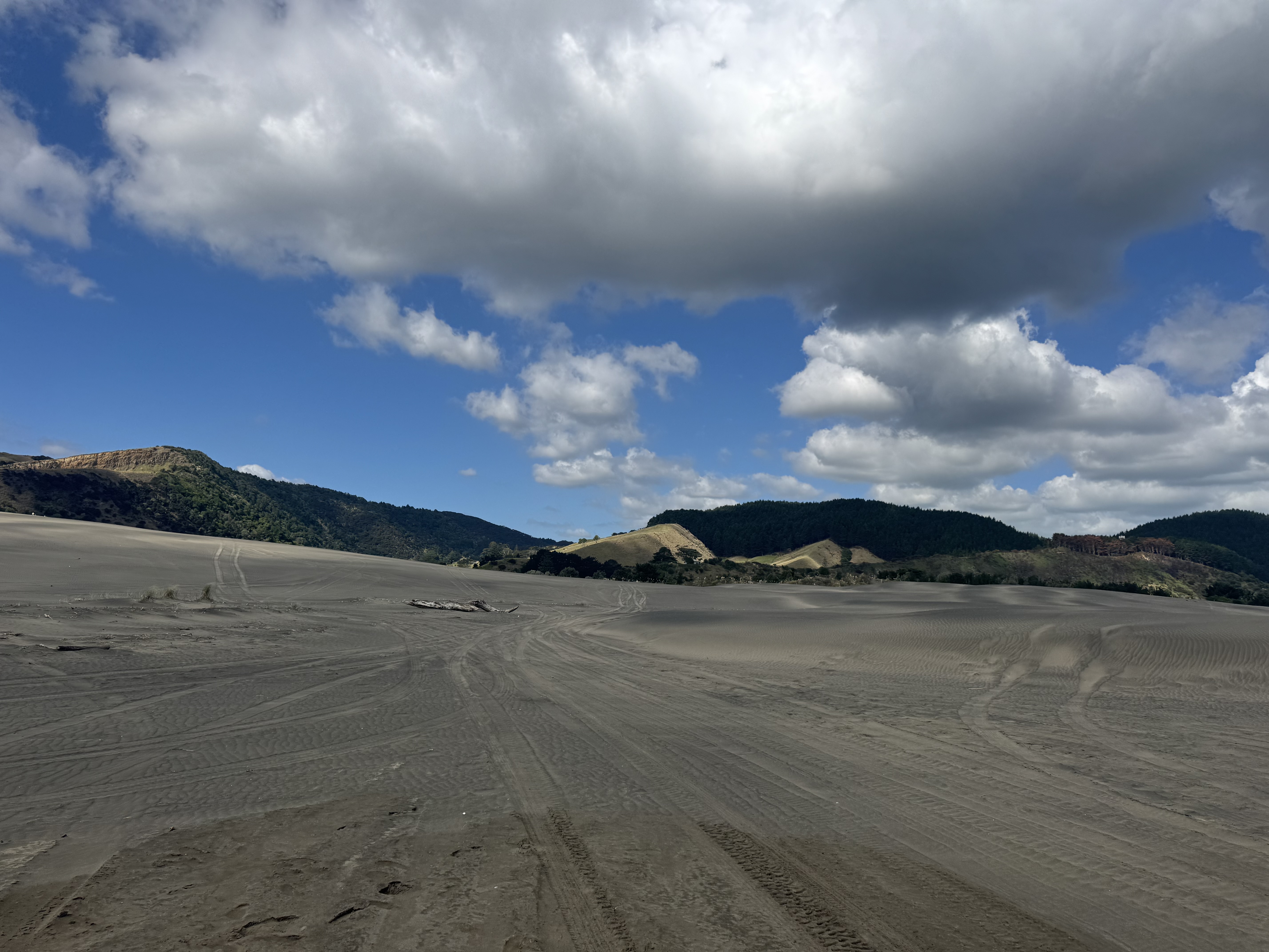 Port Waikato image 5