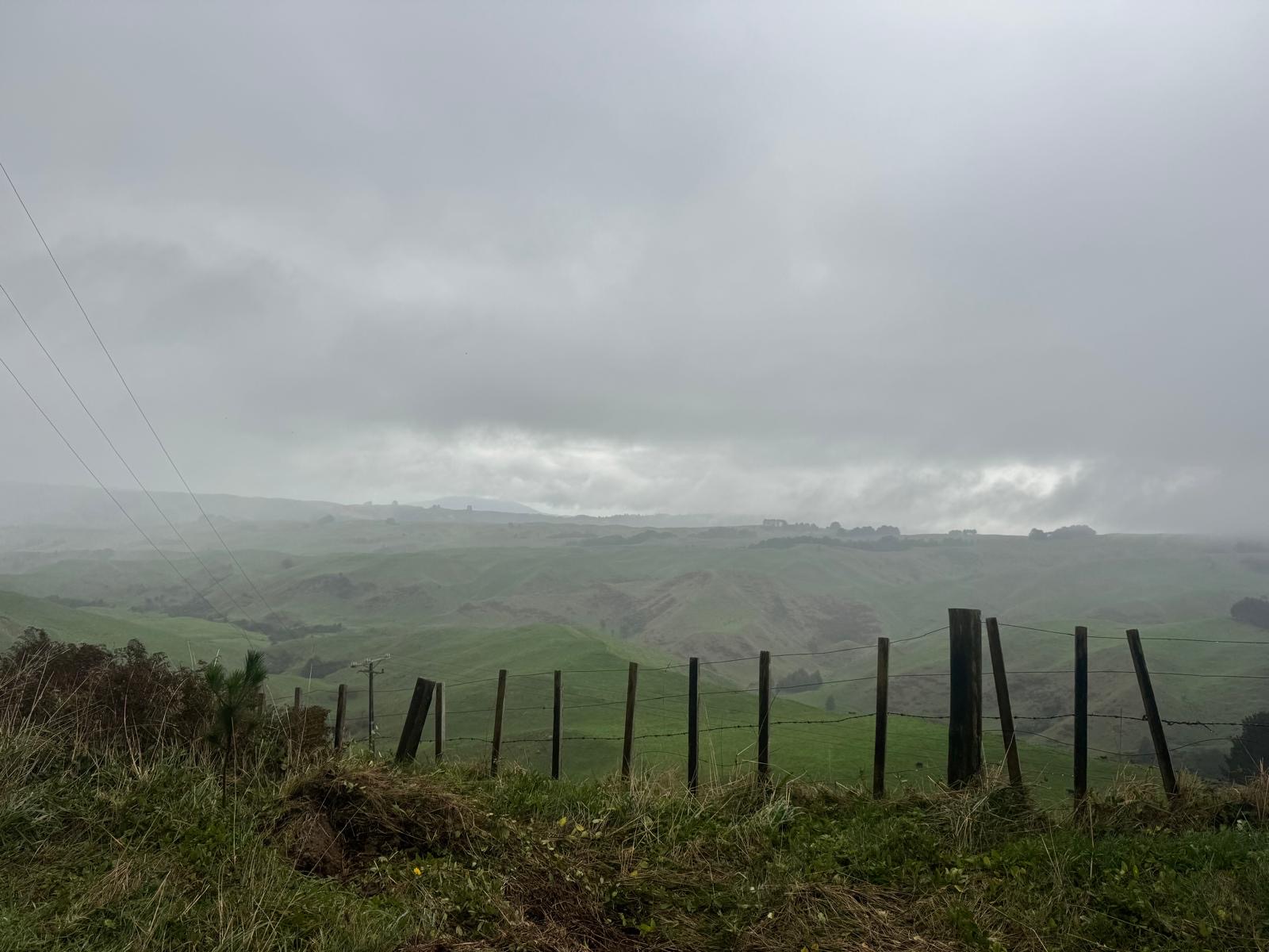 Pirongia West Road image 5