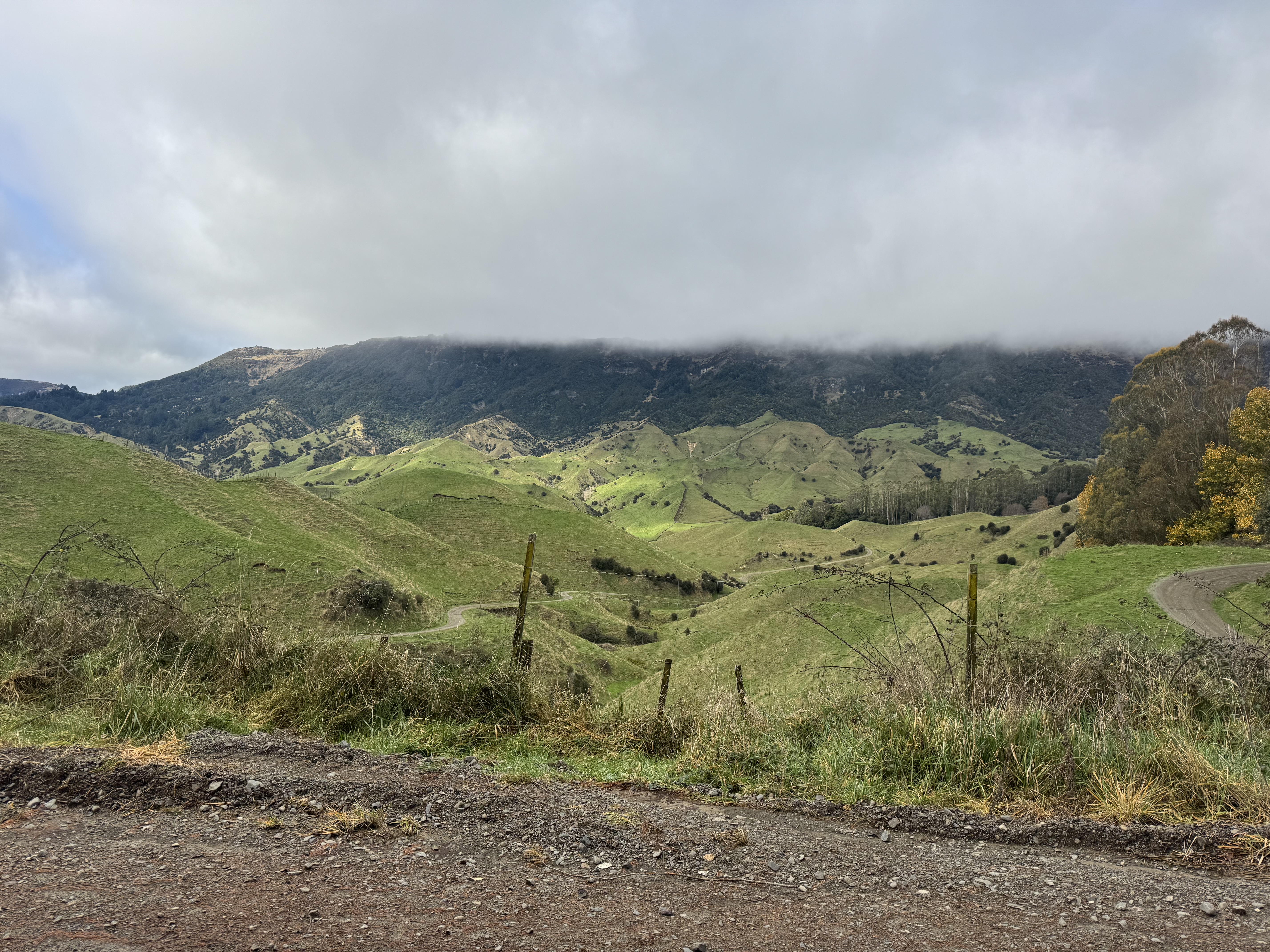 Waitara Road image 4